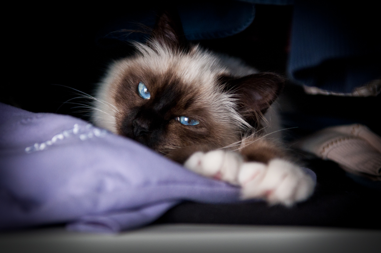 Who's better than me