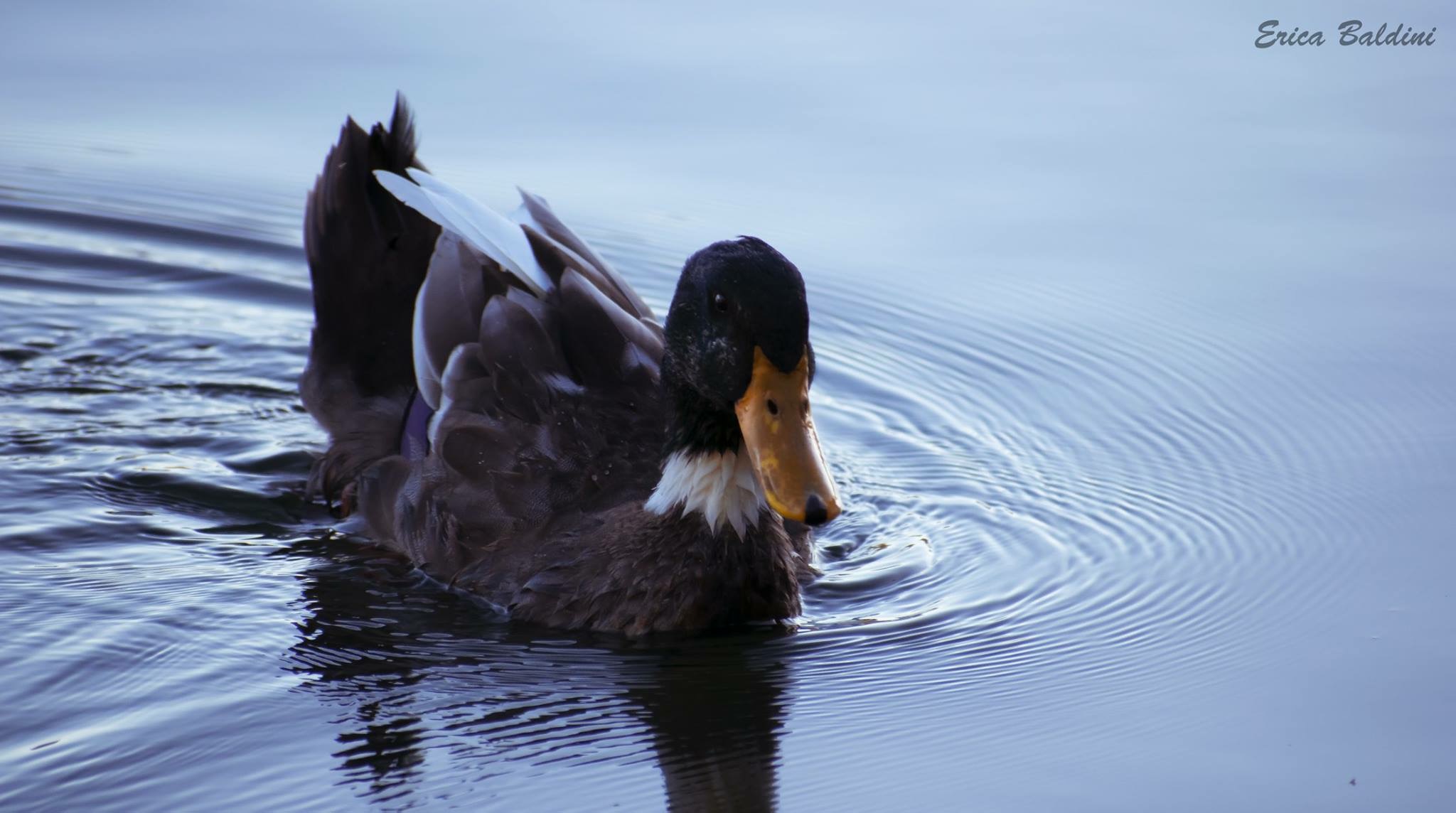 Qualche scatto a Posta Fibreno