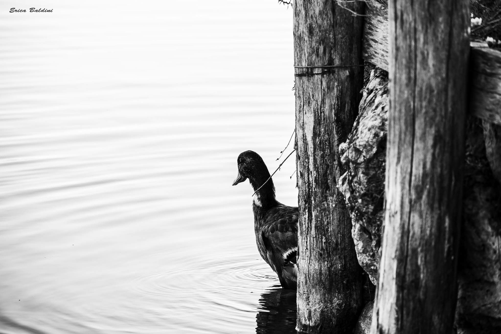 A few clicks at Posta Fibreno