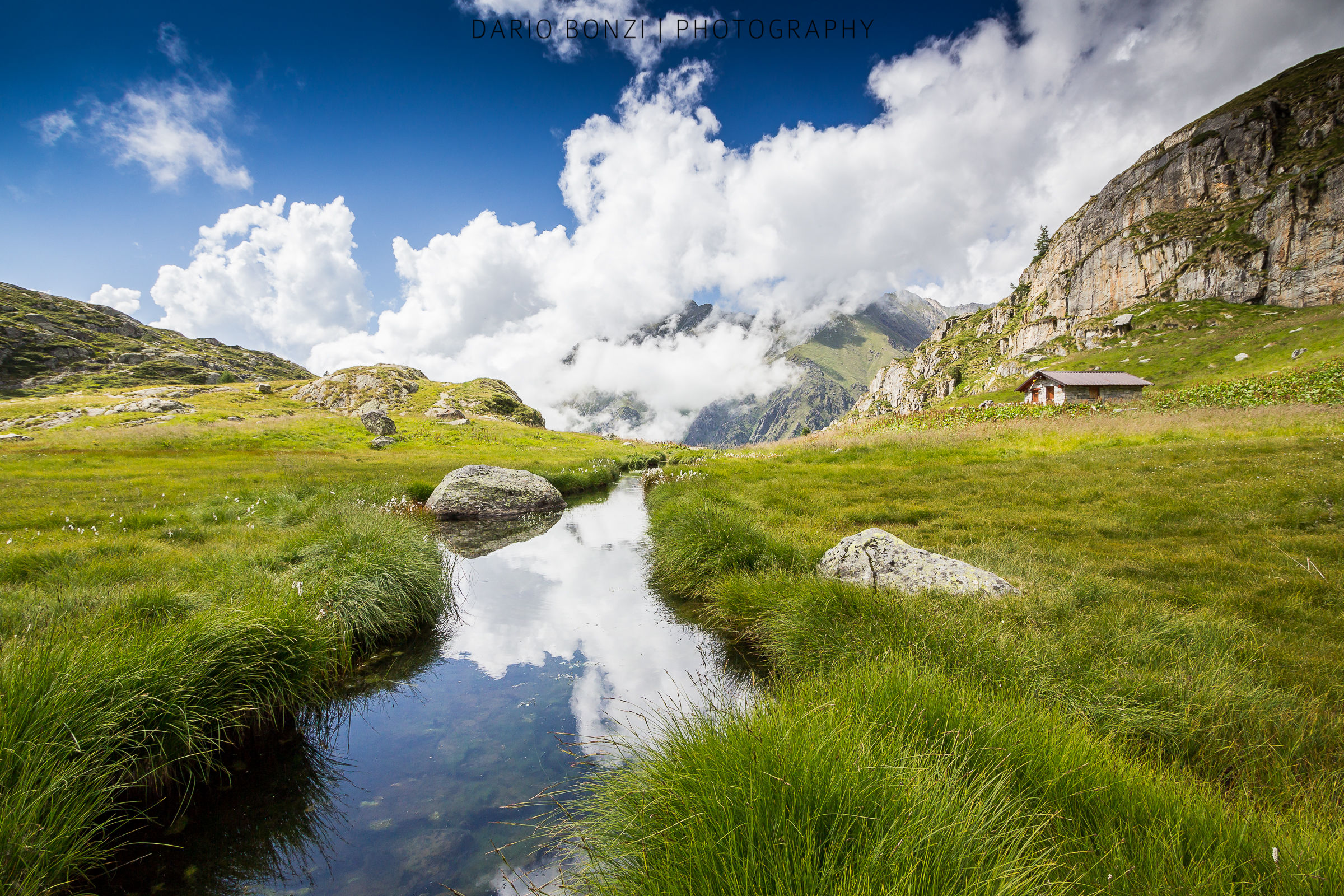 Riflessi dell'estate