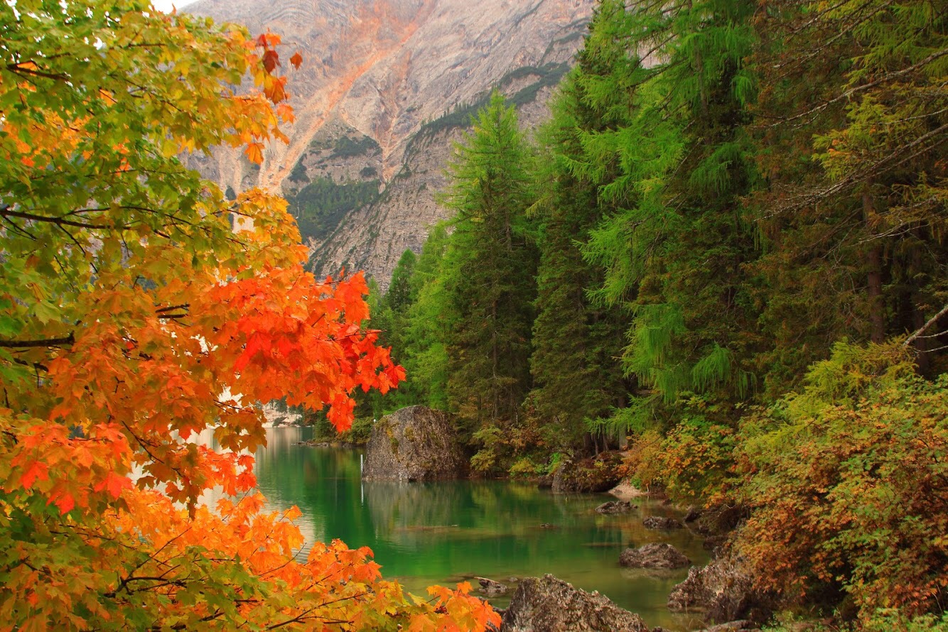 Colorful braies