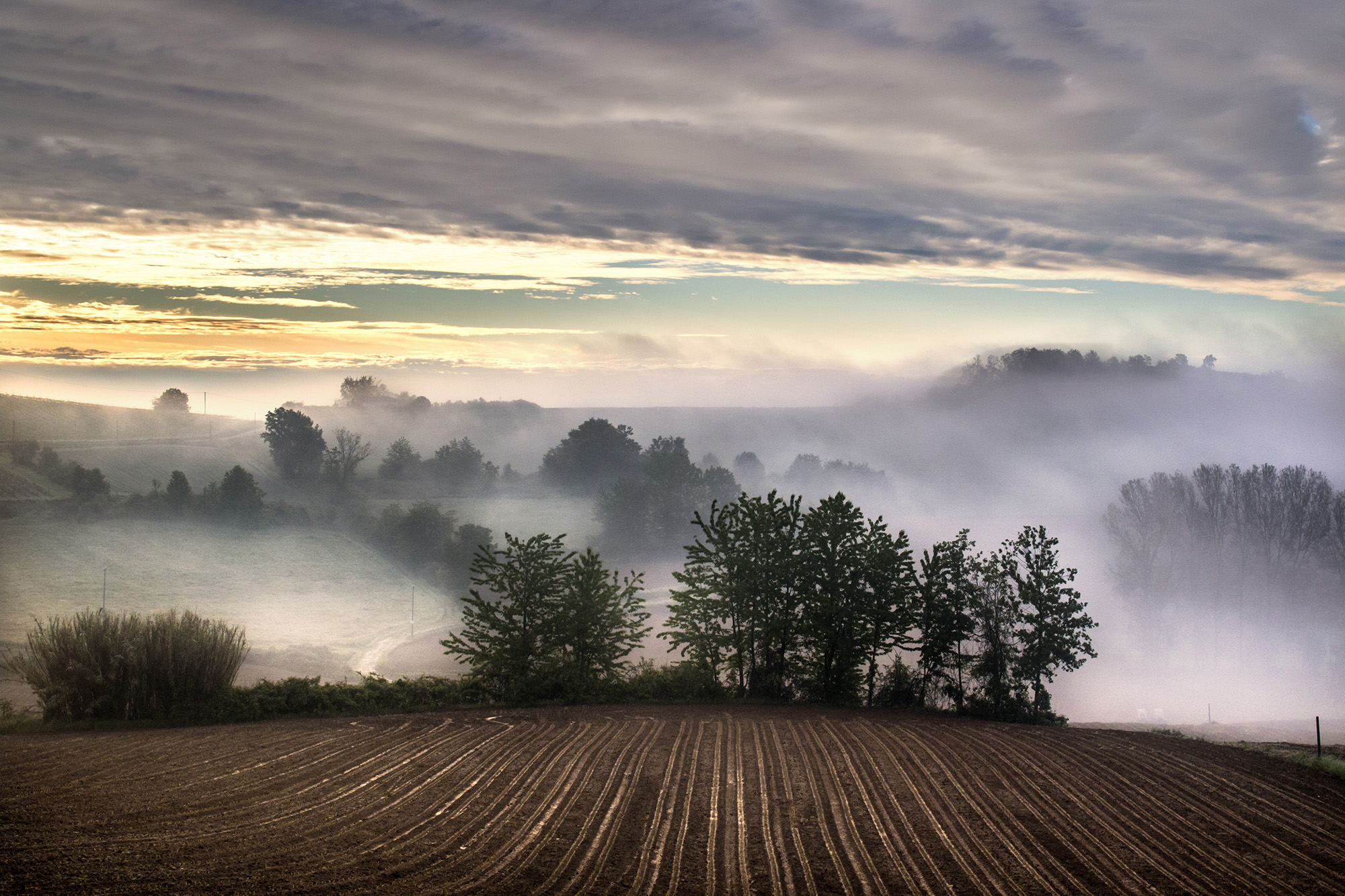 Monferrato valley bottom at dawn
