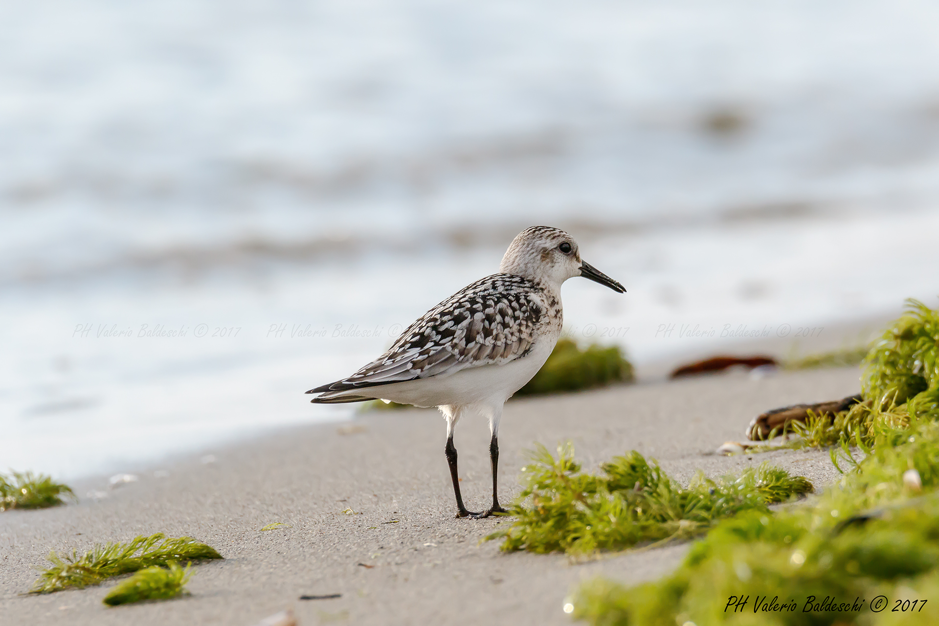 I look at you but I do not look at you