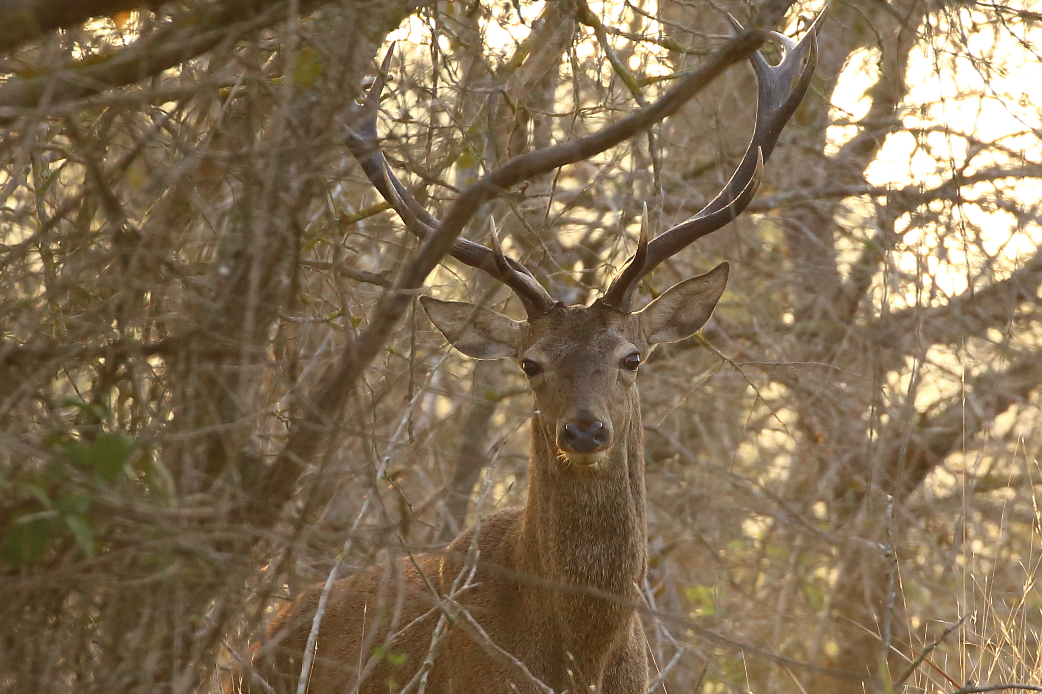 And then ........ we saw it