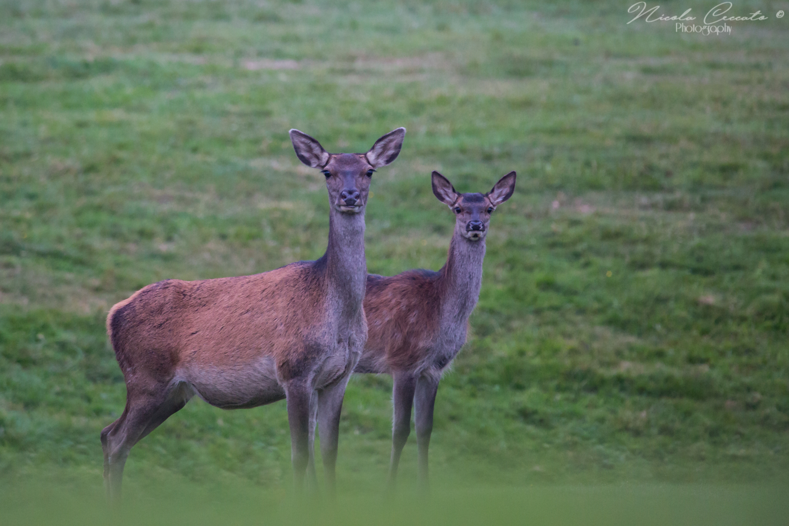 Mother and daughter