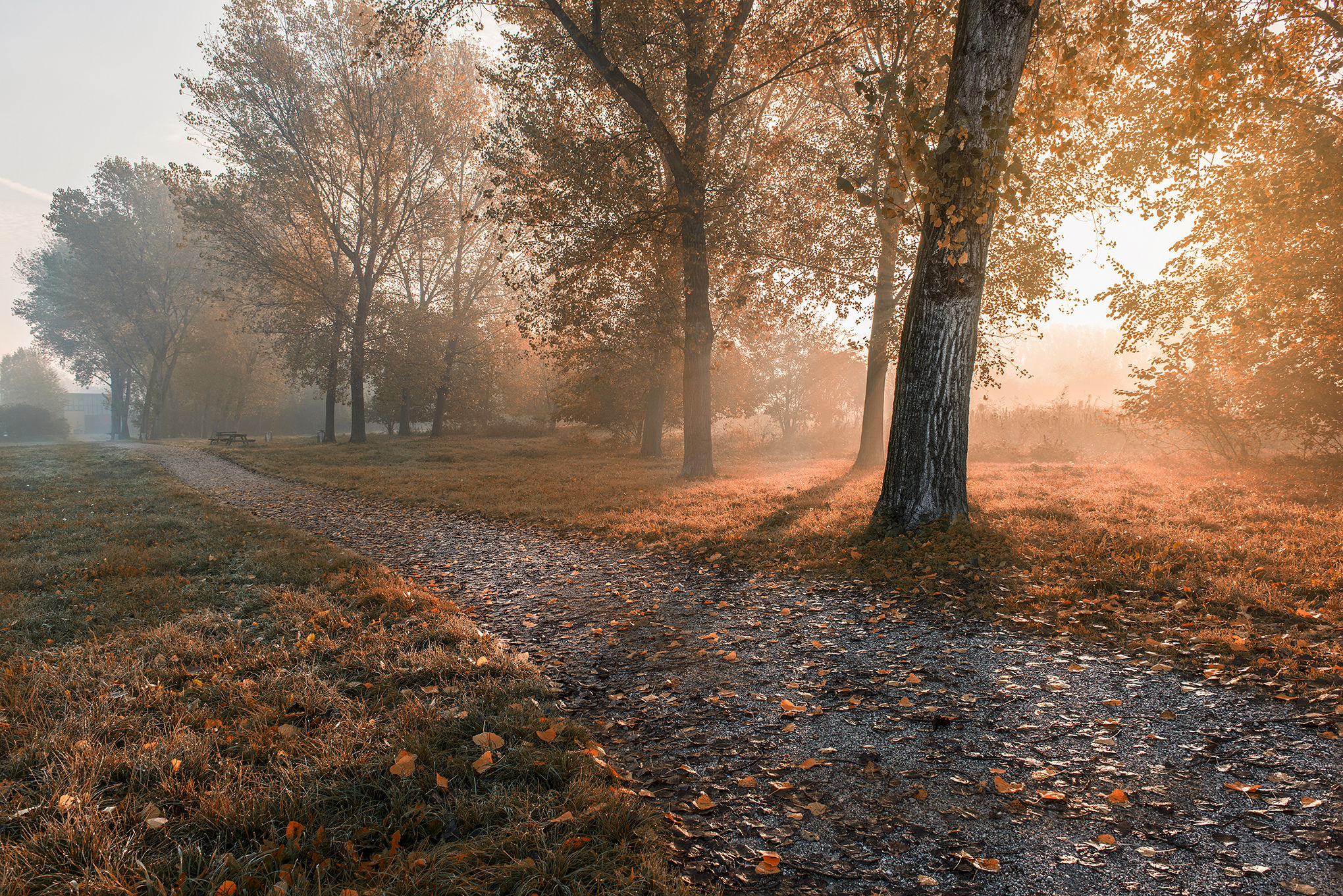 Alba parco di Mantova
