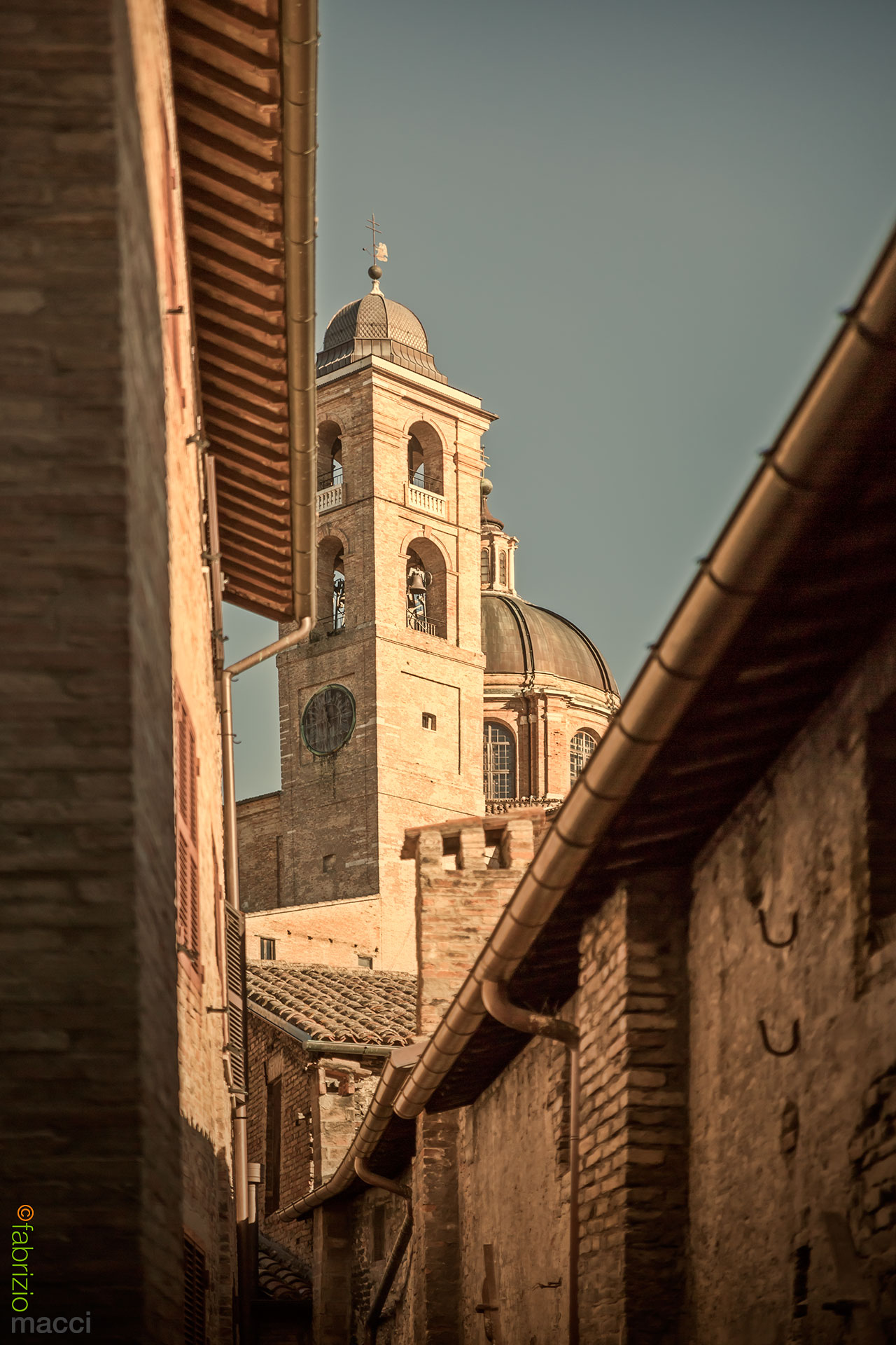 Urbino