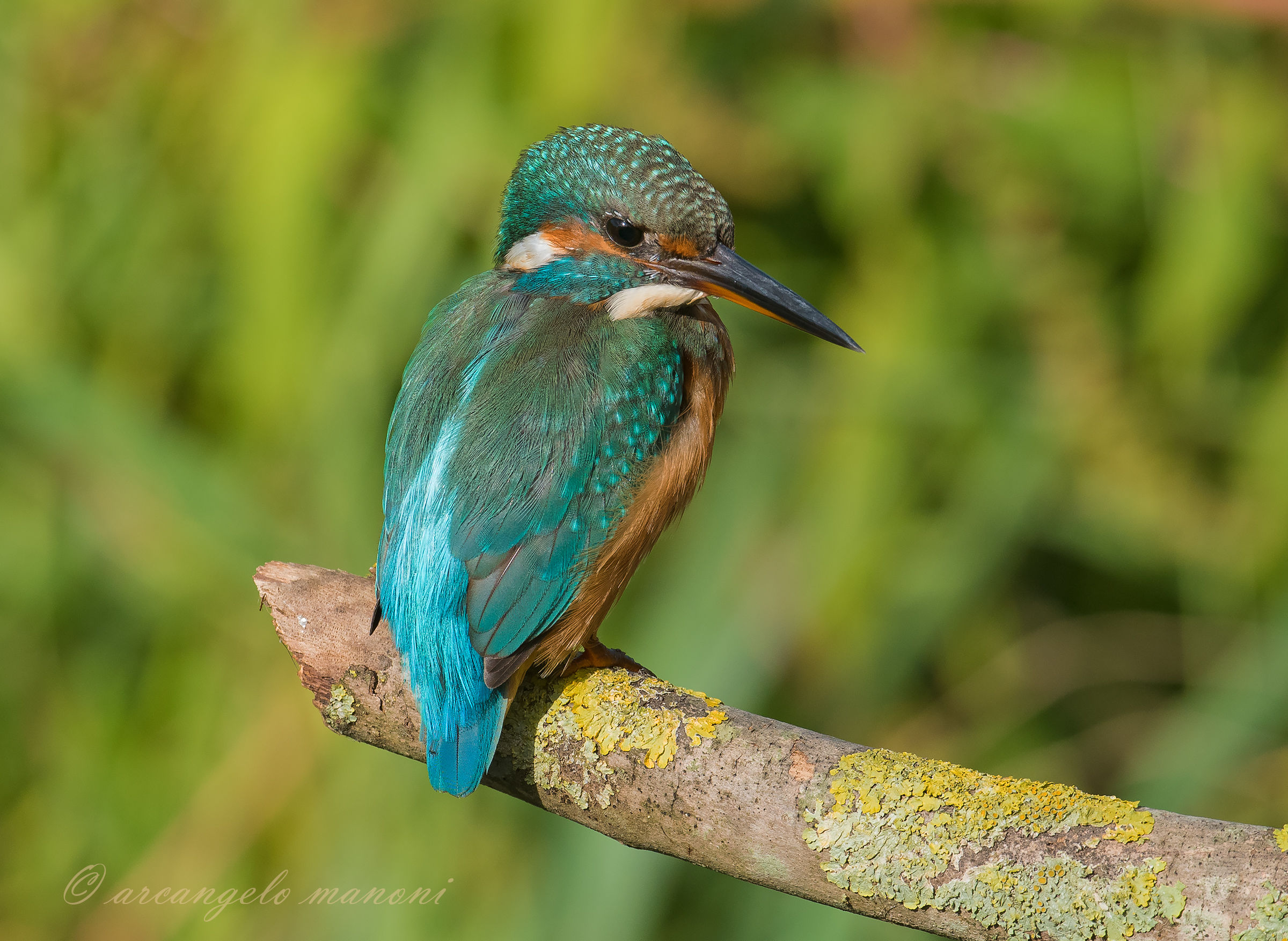Martina in the September sun