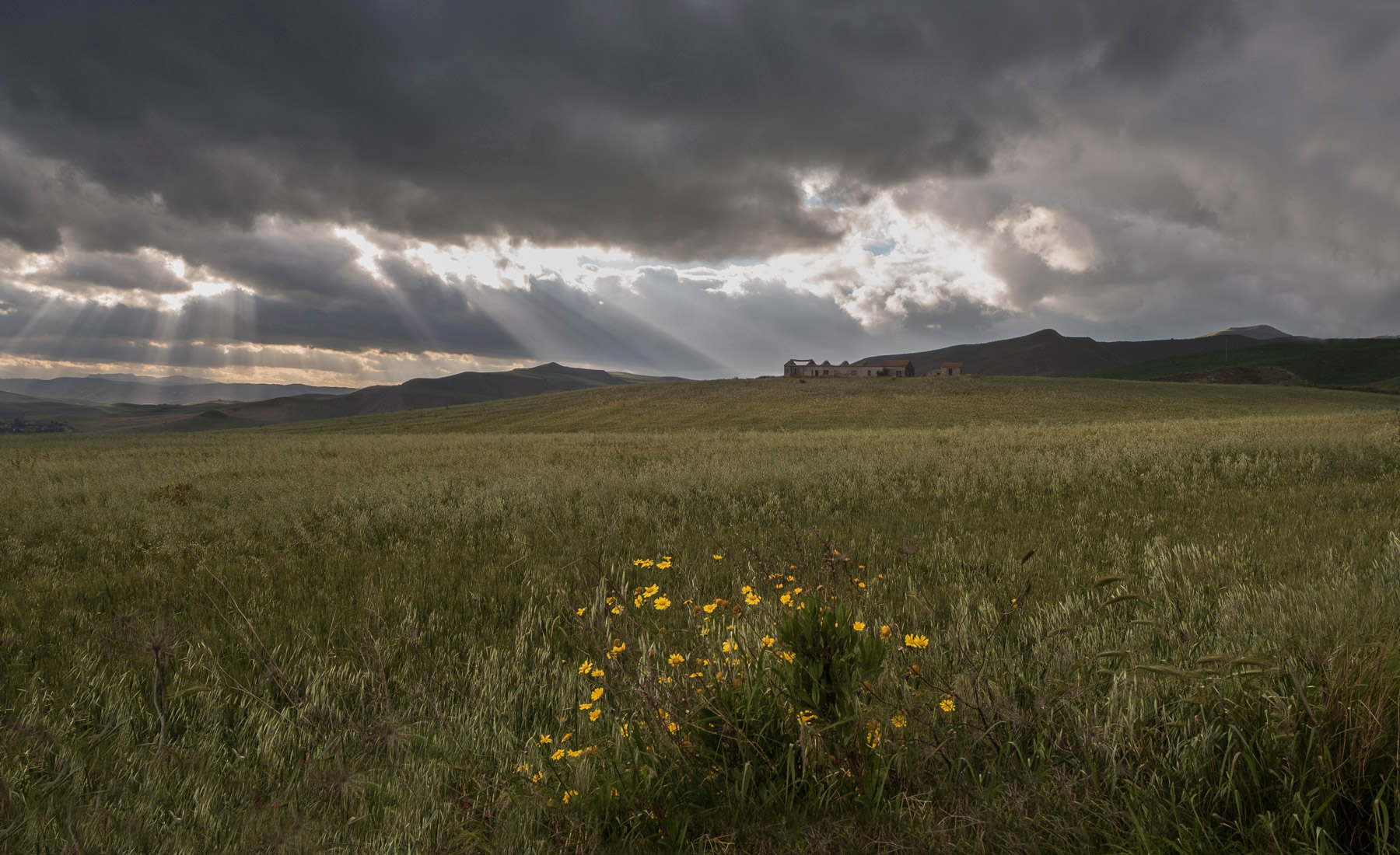 After the thunderstorm