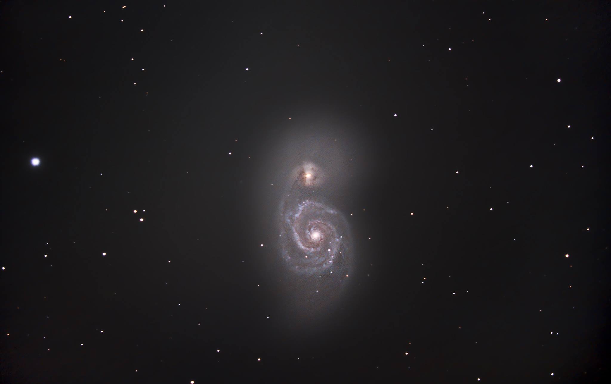 Glassia M51