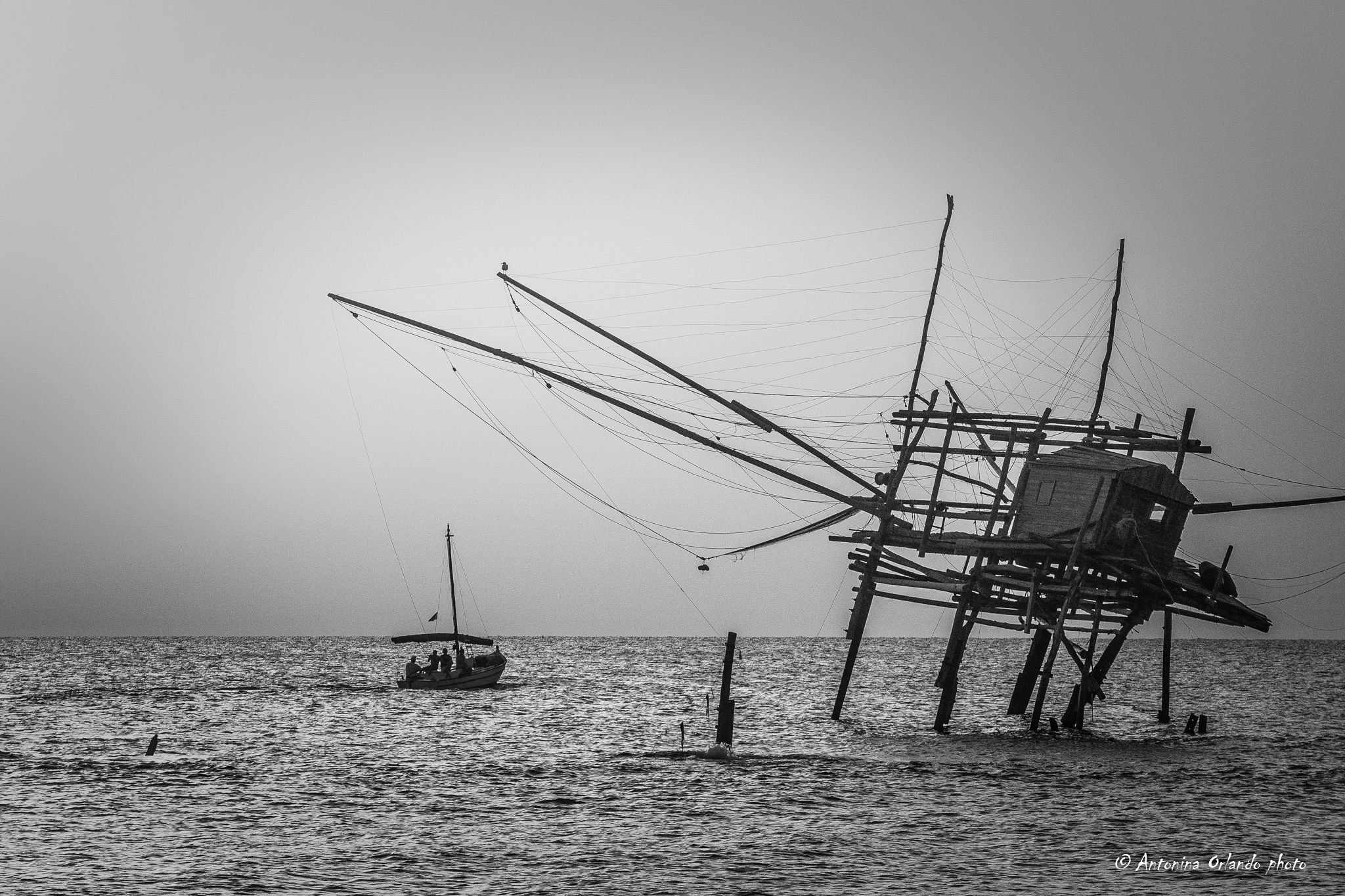 Prima della morte ....