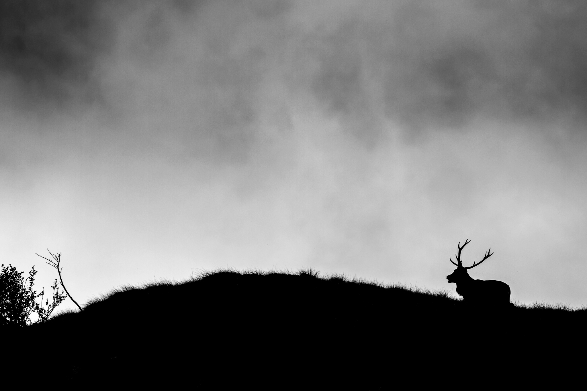 Between earth and sky