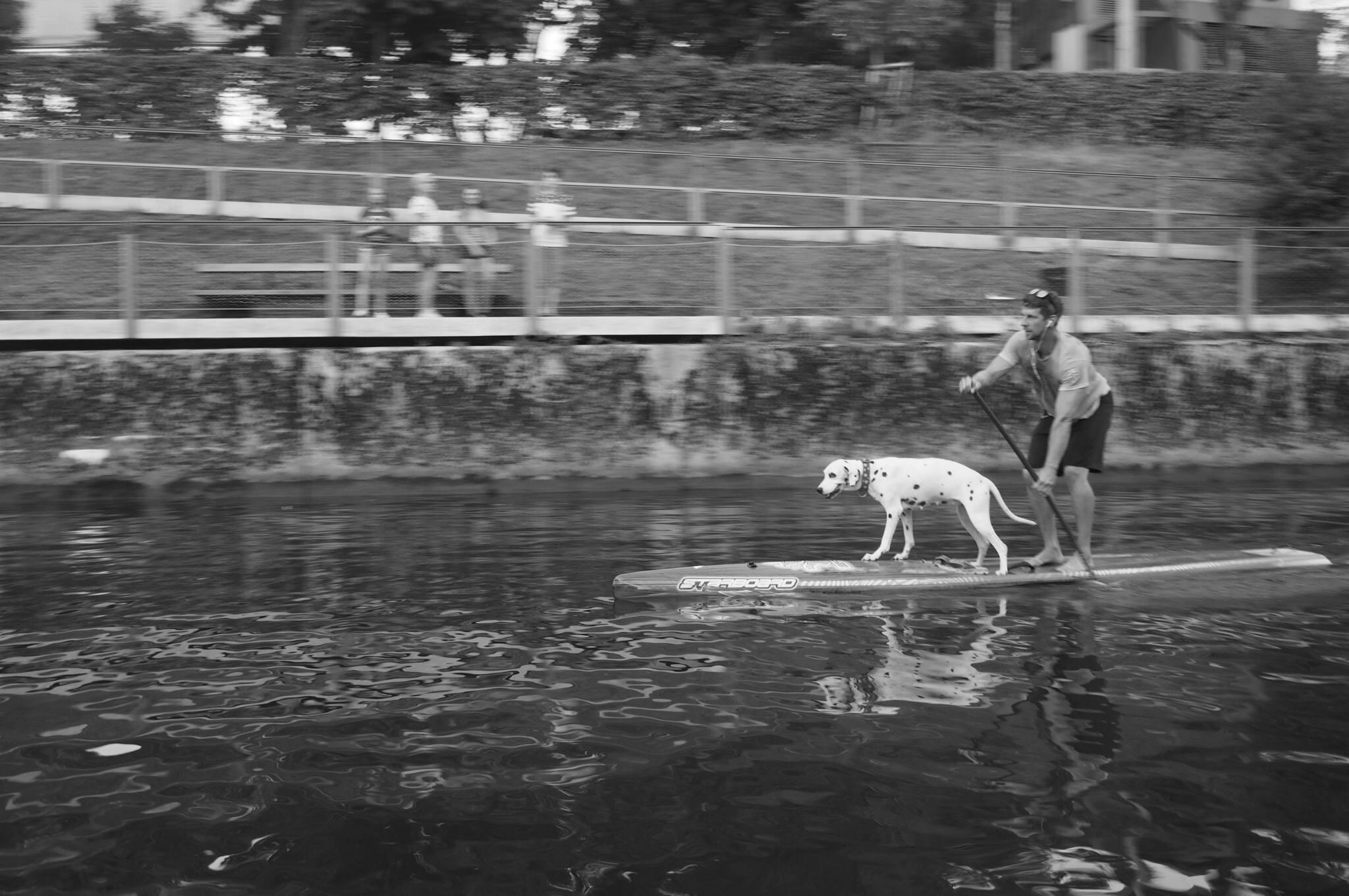 Dog Man in the River
