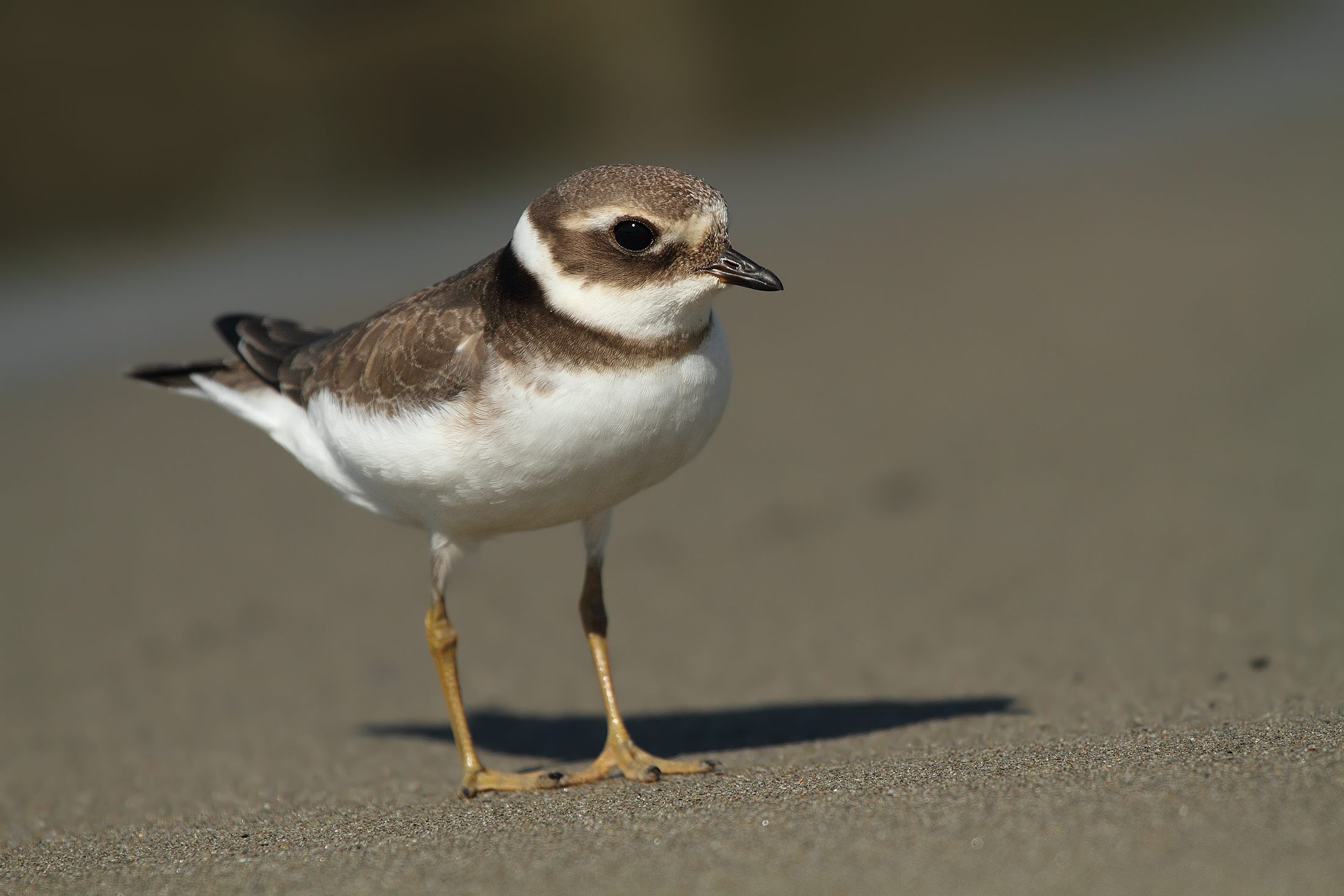 Come on, get out of the screen .........