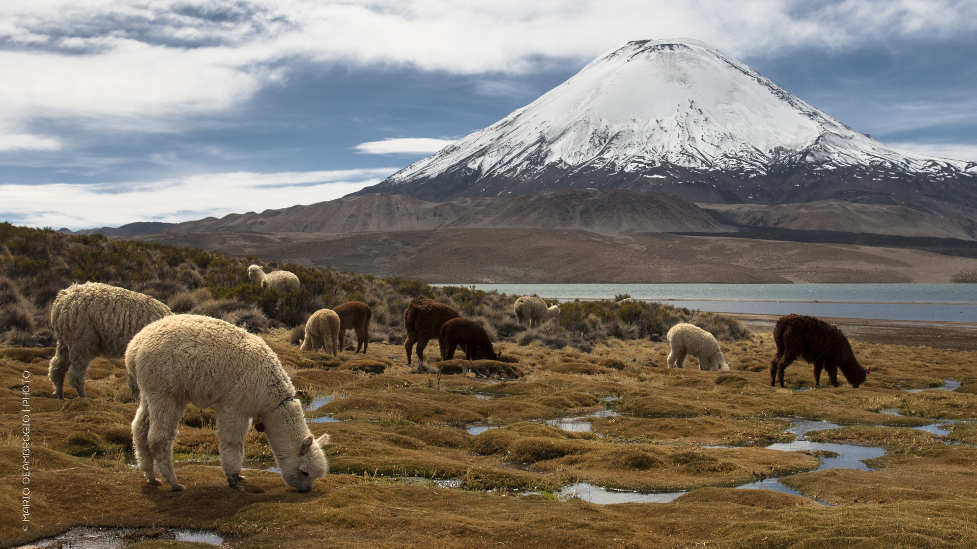 Ai piedi del Parinacota