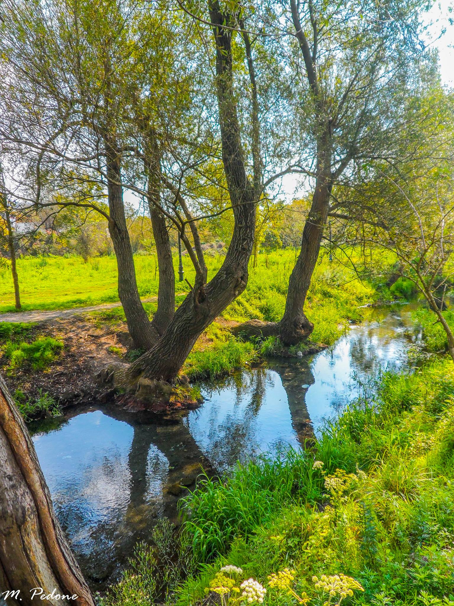 To the springs of the Sarno River