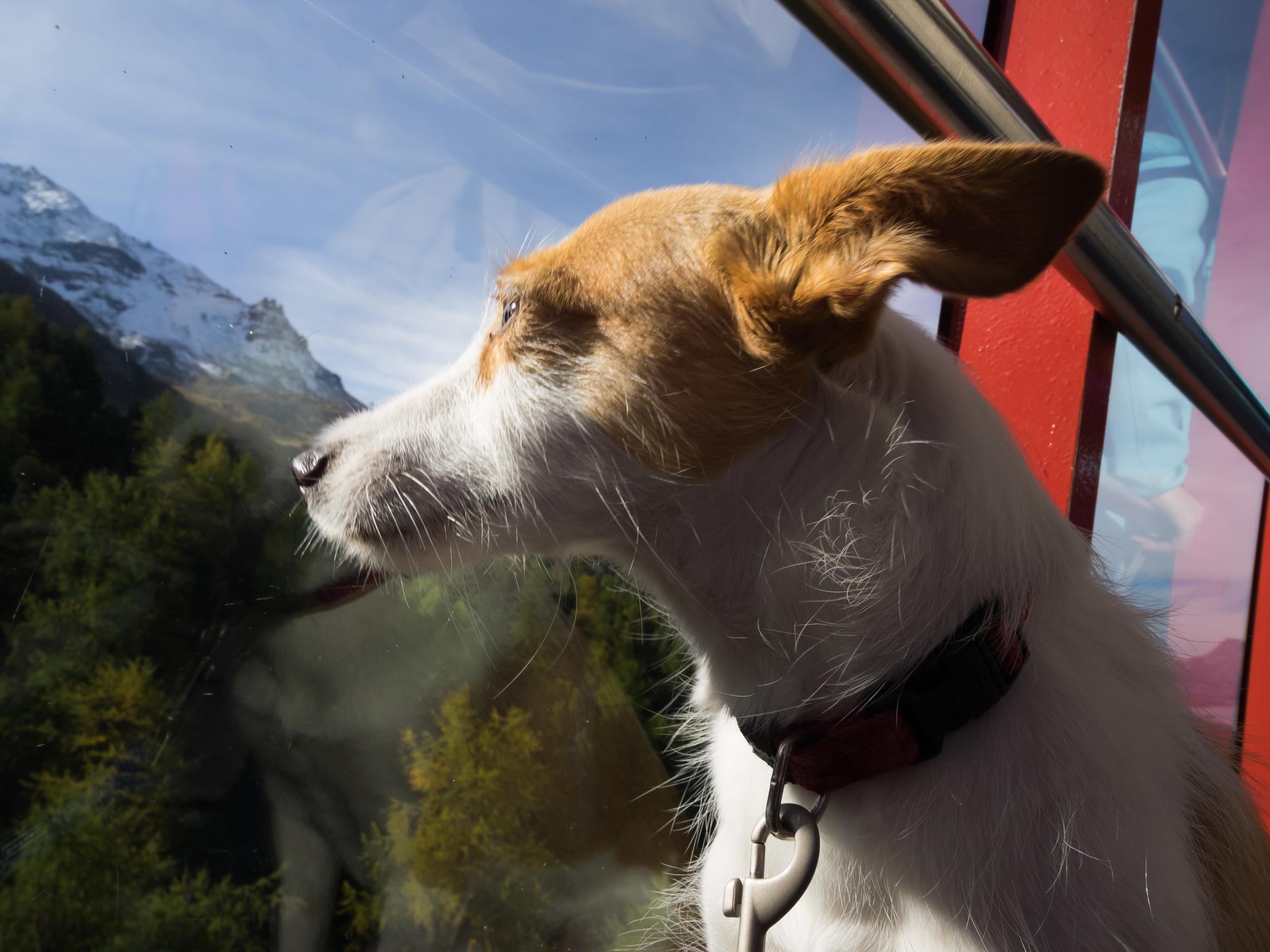 Bety in teleferica al Corvatsch