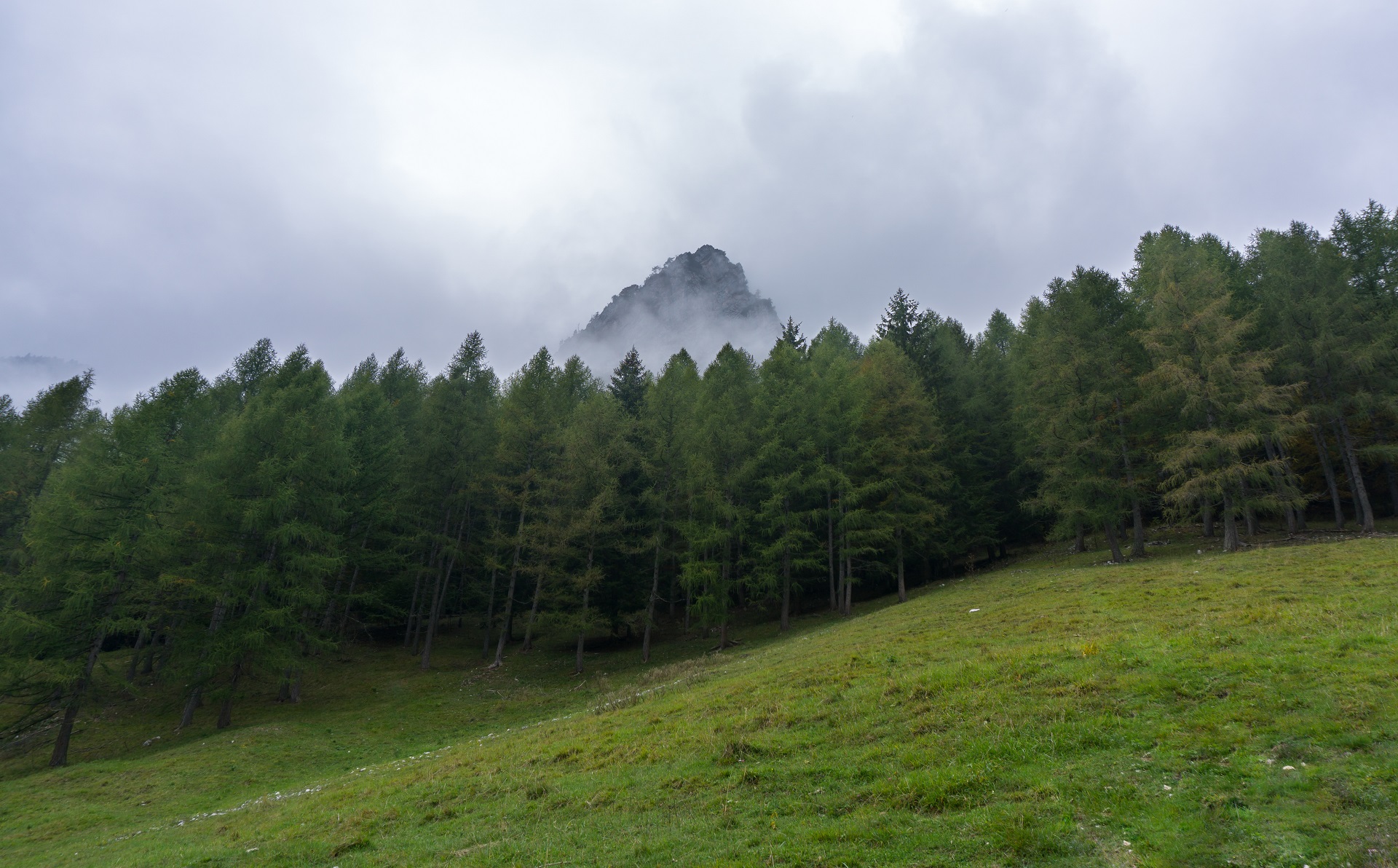Untitled Photo