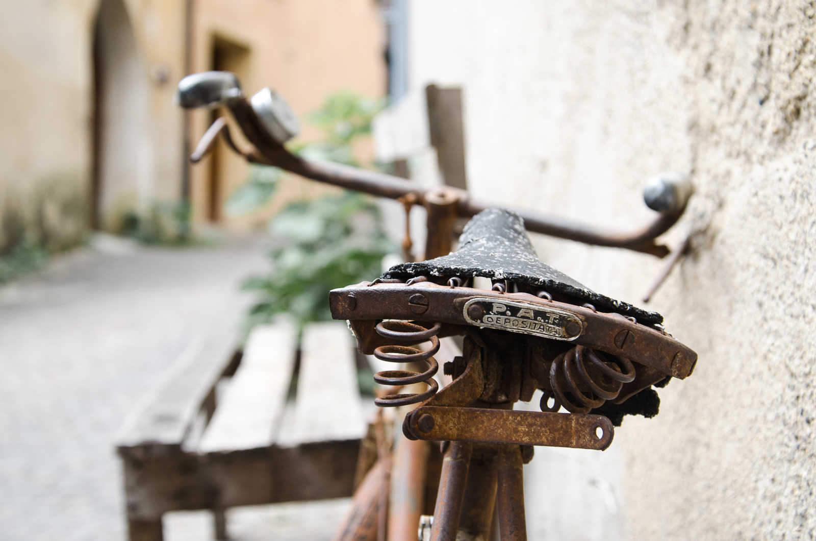 ha fatto la sua strada