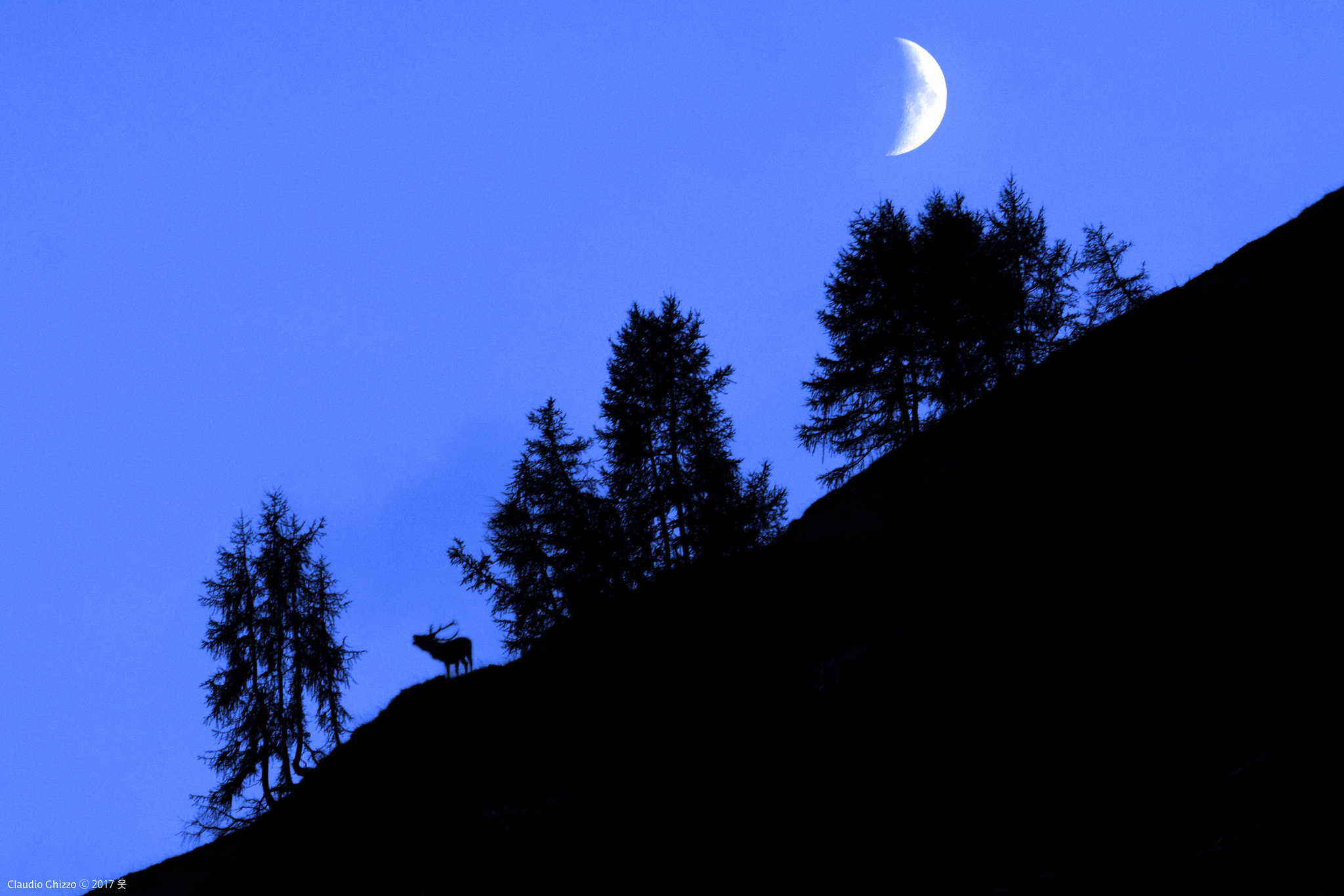 The whim of the new moonlight