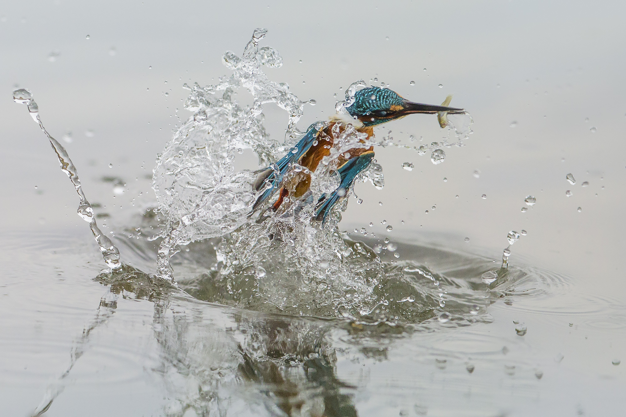 l'attimo fuggente del martino