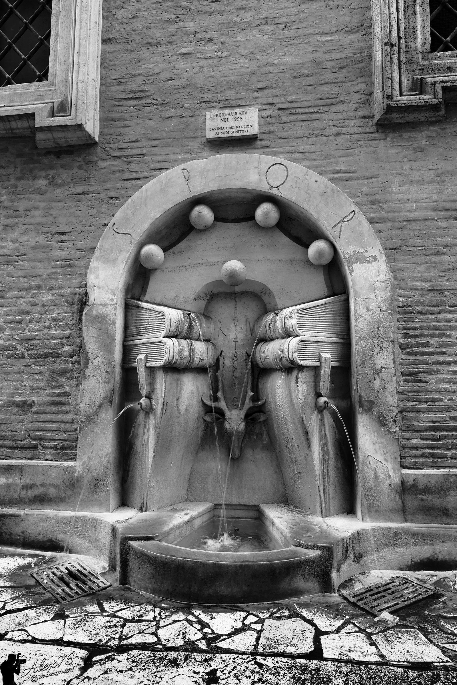 Omaggio a Raffaele49 "Fontana dei Libri"