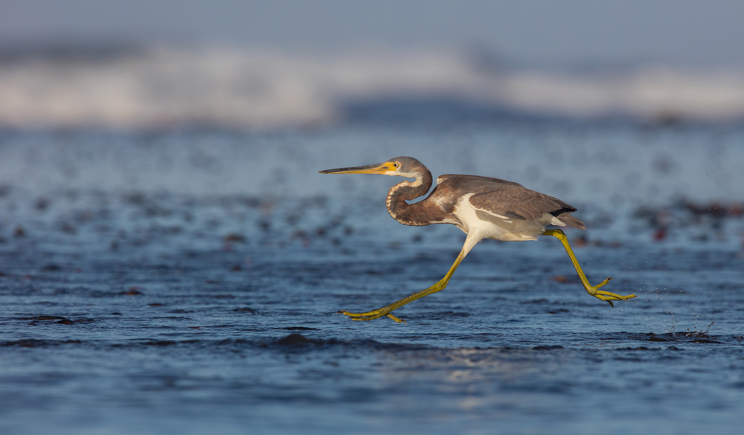 Non c'è bisogno di volare