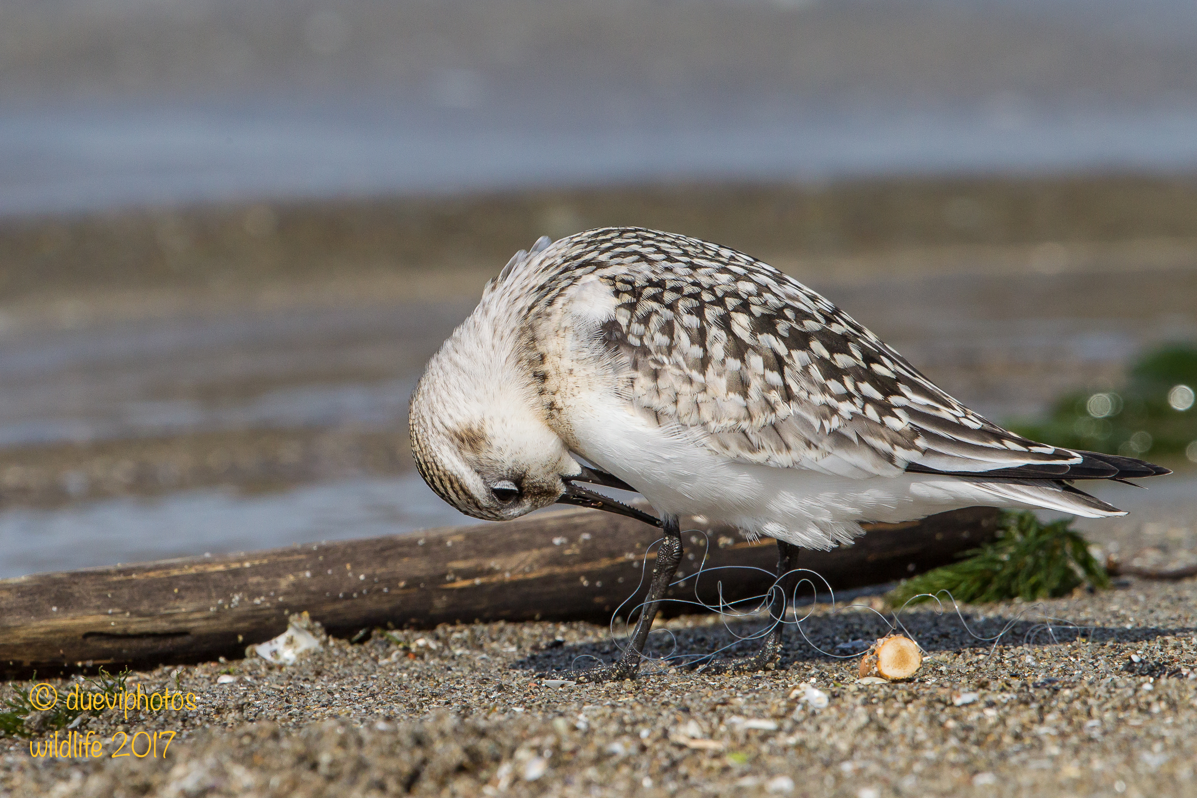 Discouragement and rudeness ...