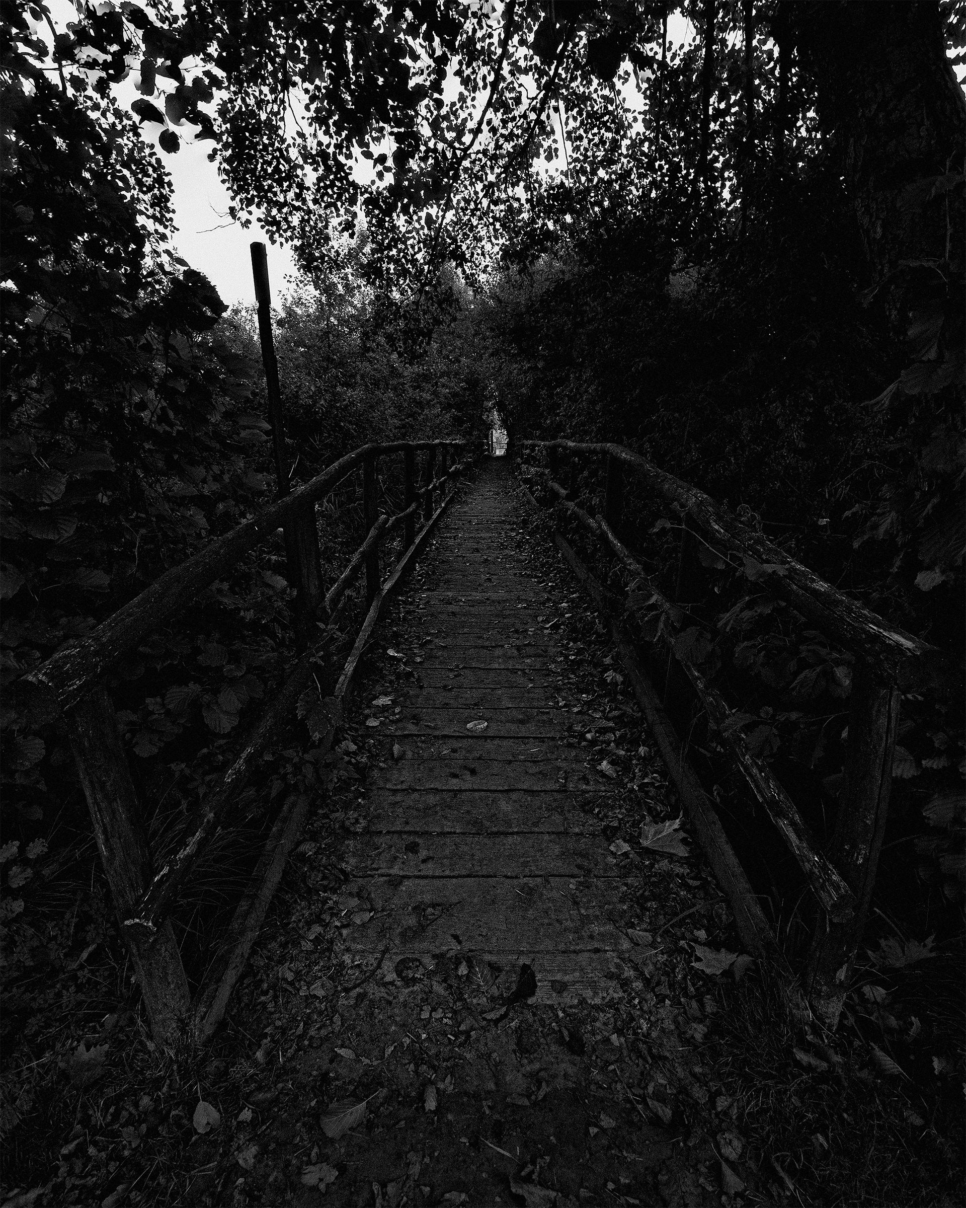 Ponte su acque stagne