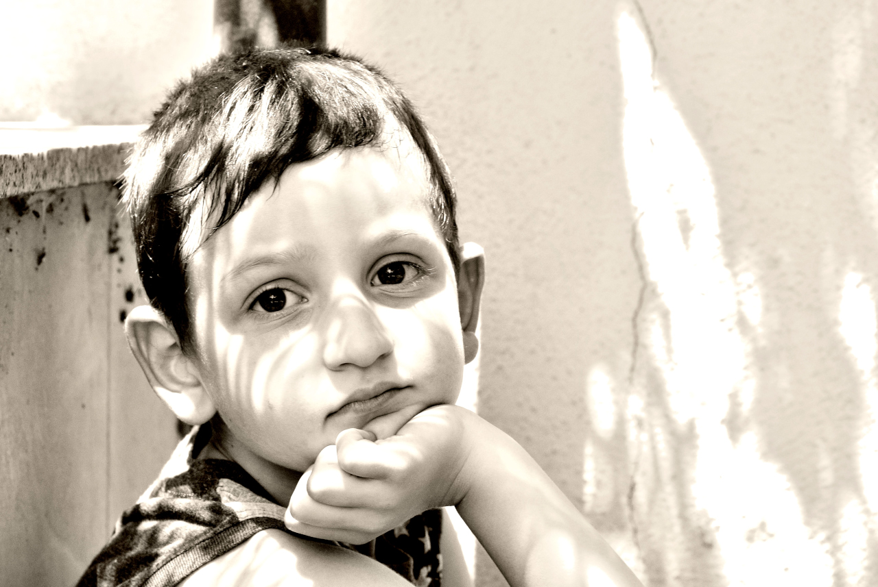 Leo in the shadow of the leaves ...