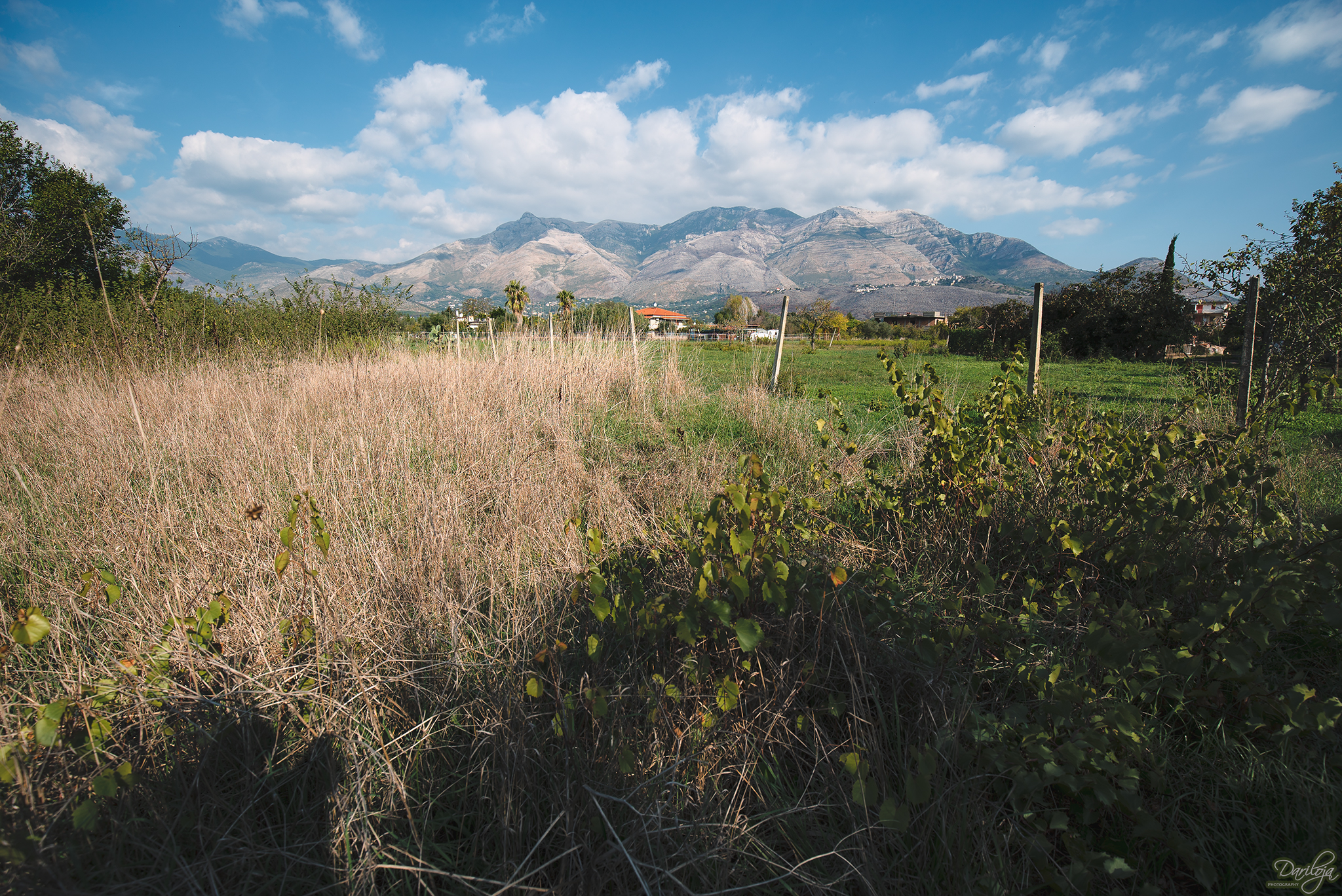 Gianola e Monte di Scauri