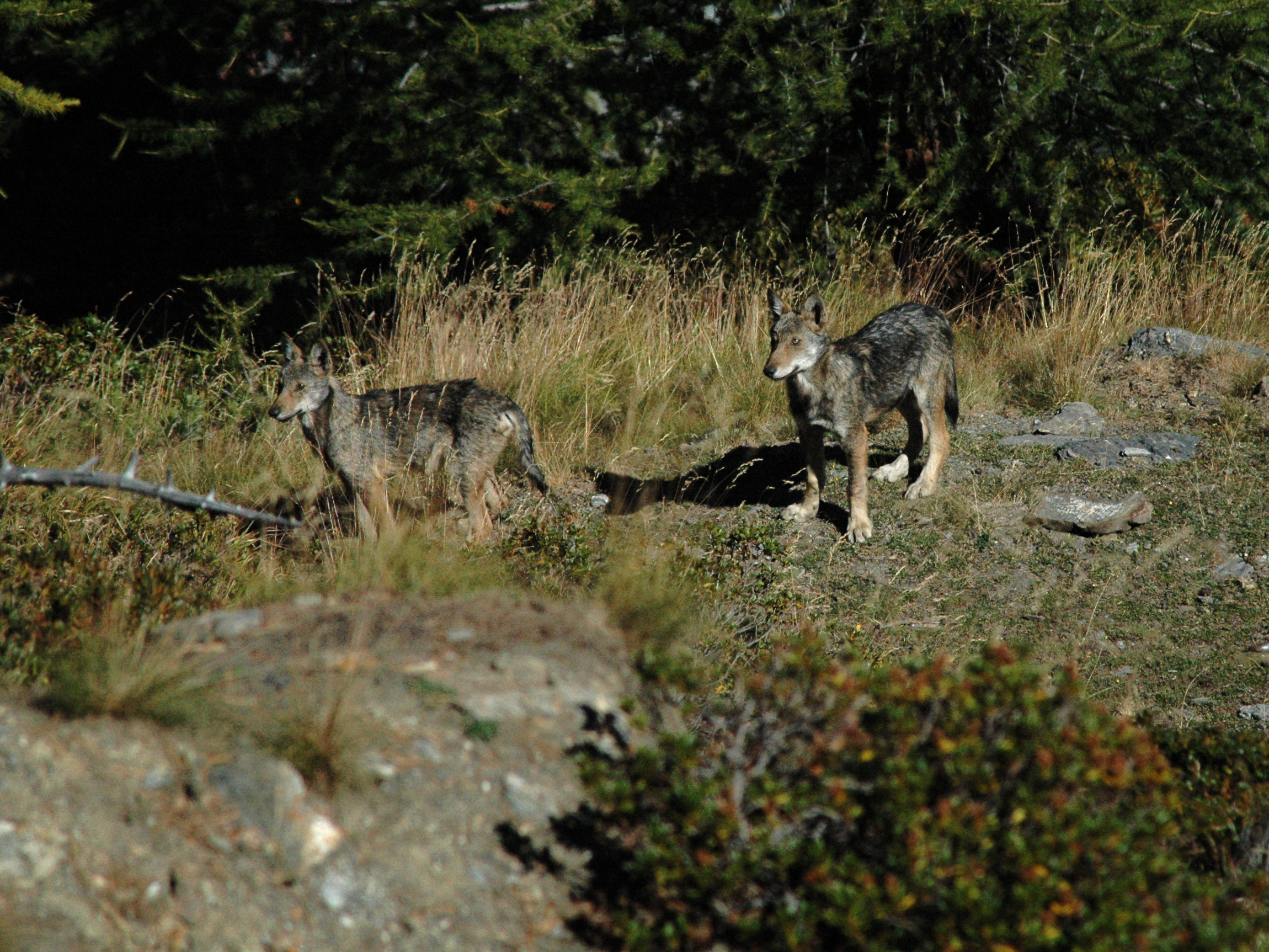Toh....Uno scatto di qualche anno fa!