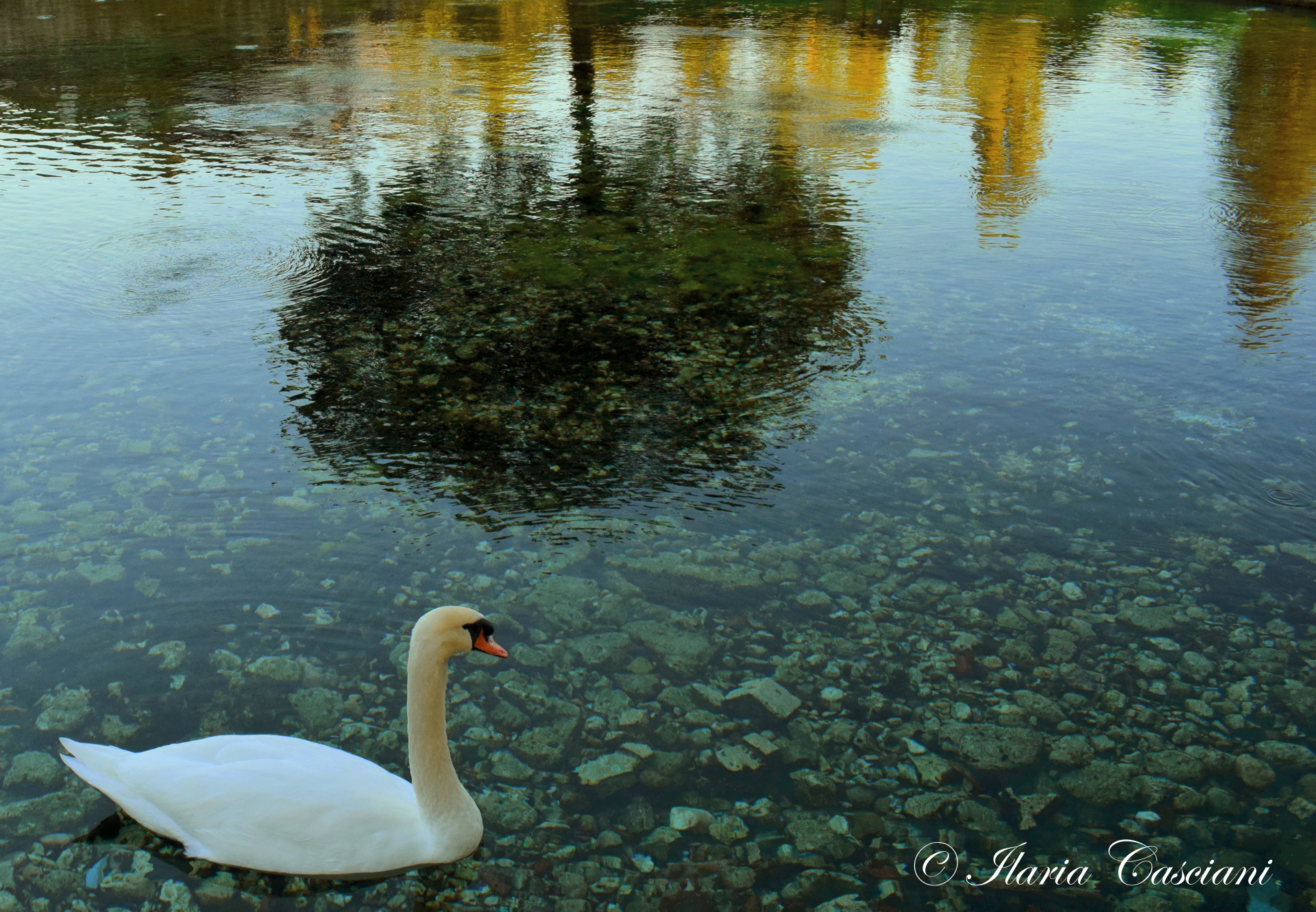 Photographic Impressionism