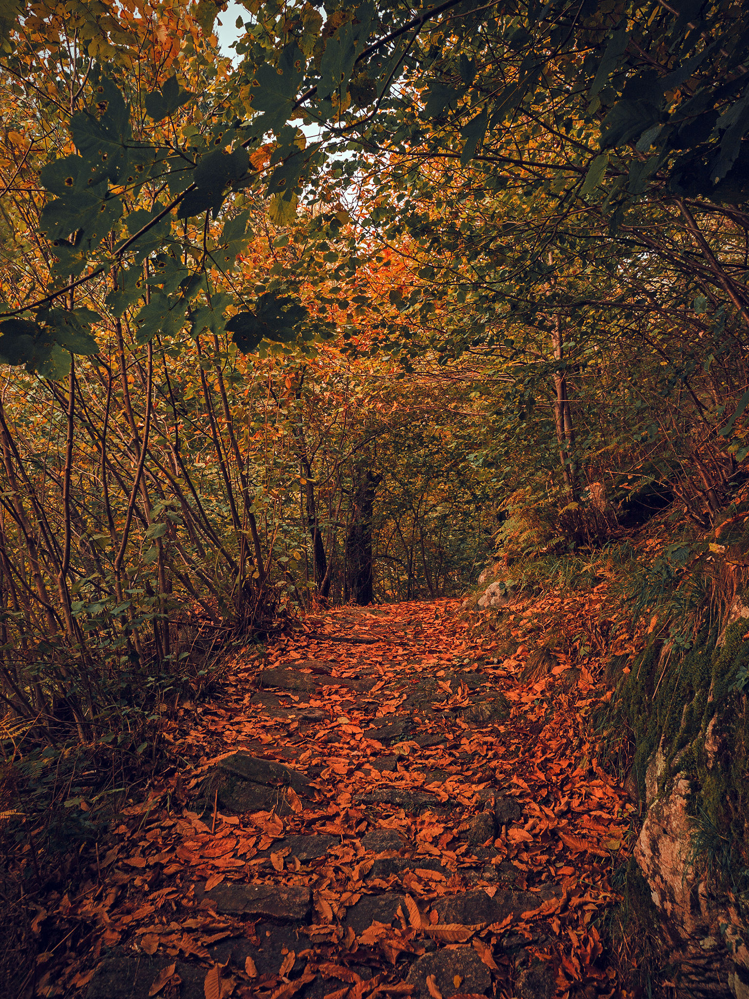 The Way of the Anointing