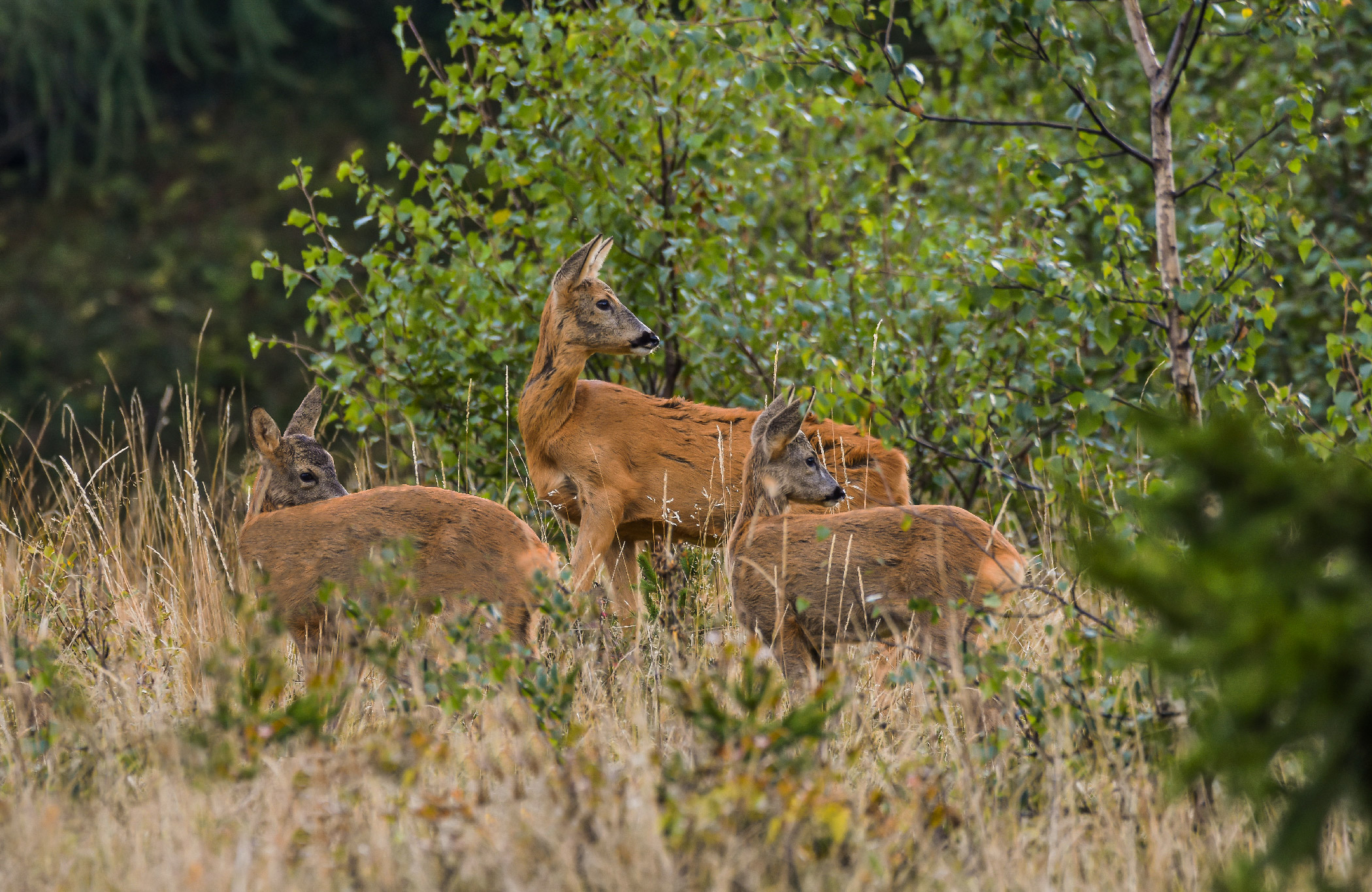 Tutti nella stessa direzione