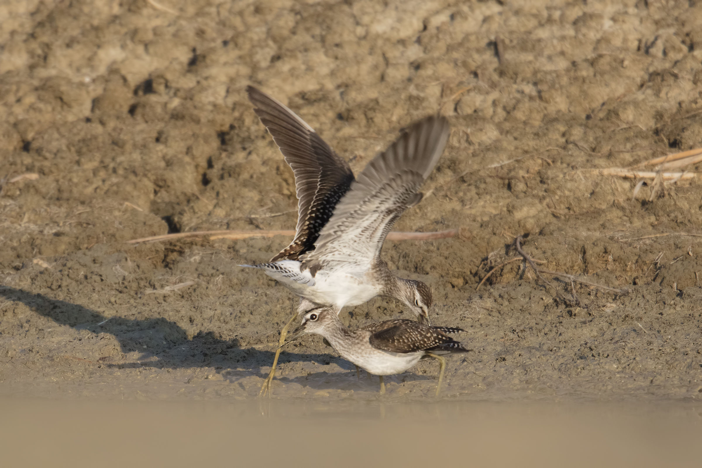 in the end I took you!