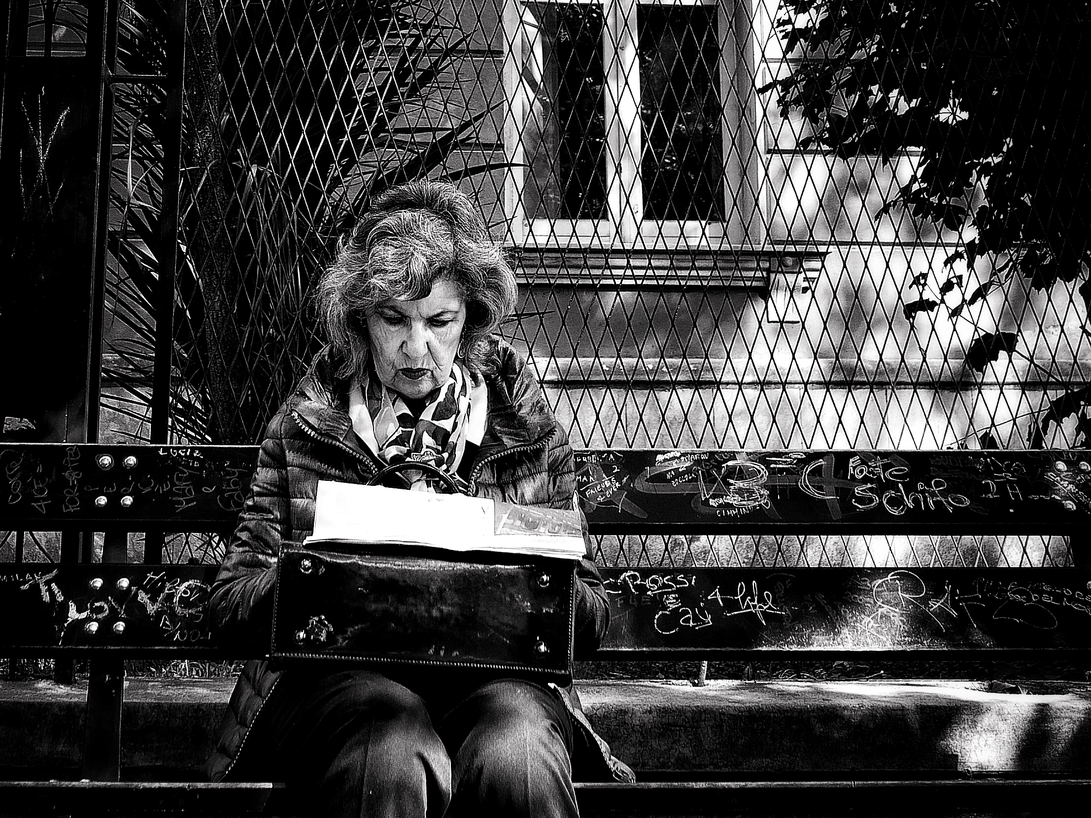 The newspaper