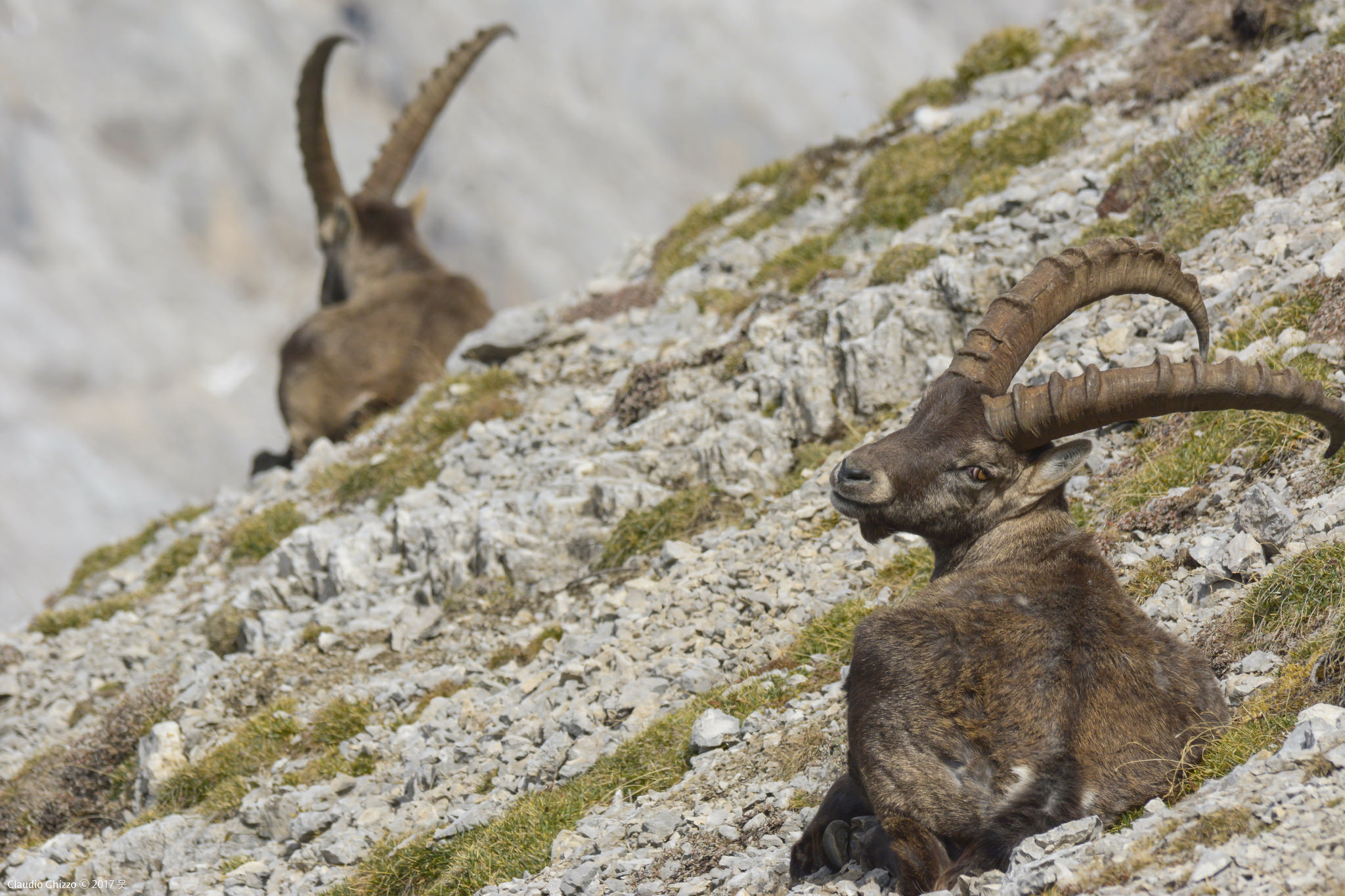 Straight into the eyes!