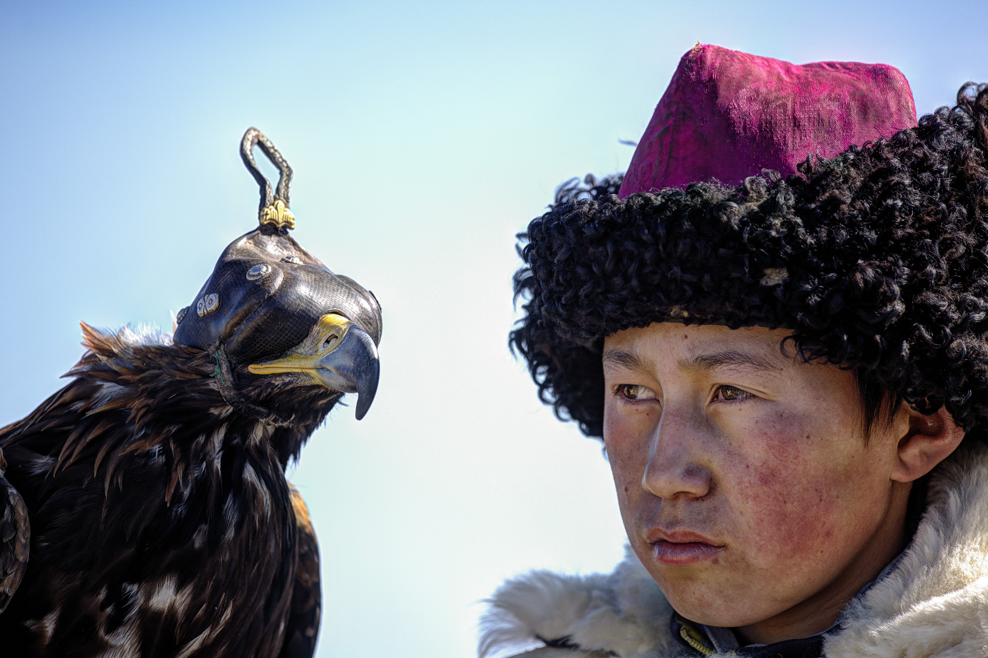 Small hunter with her eagle, Mongolia