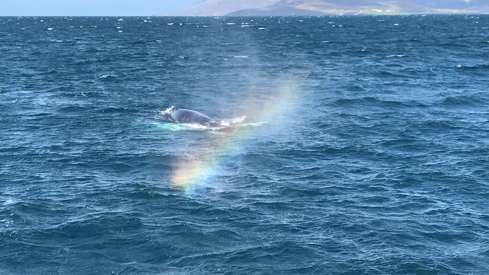 Iceland 2017 - Cloudy rainbow