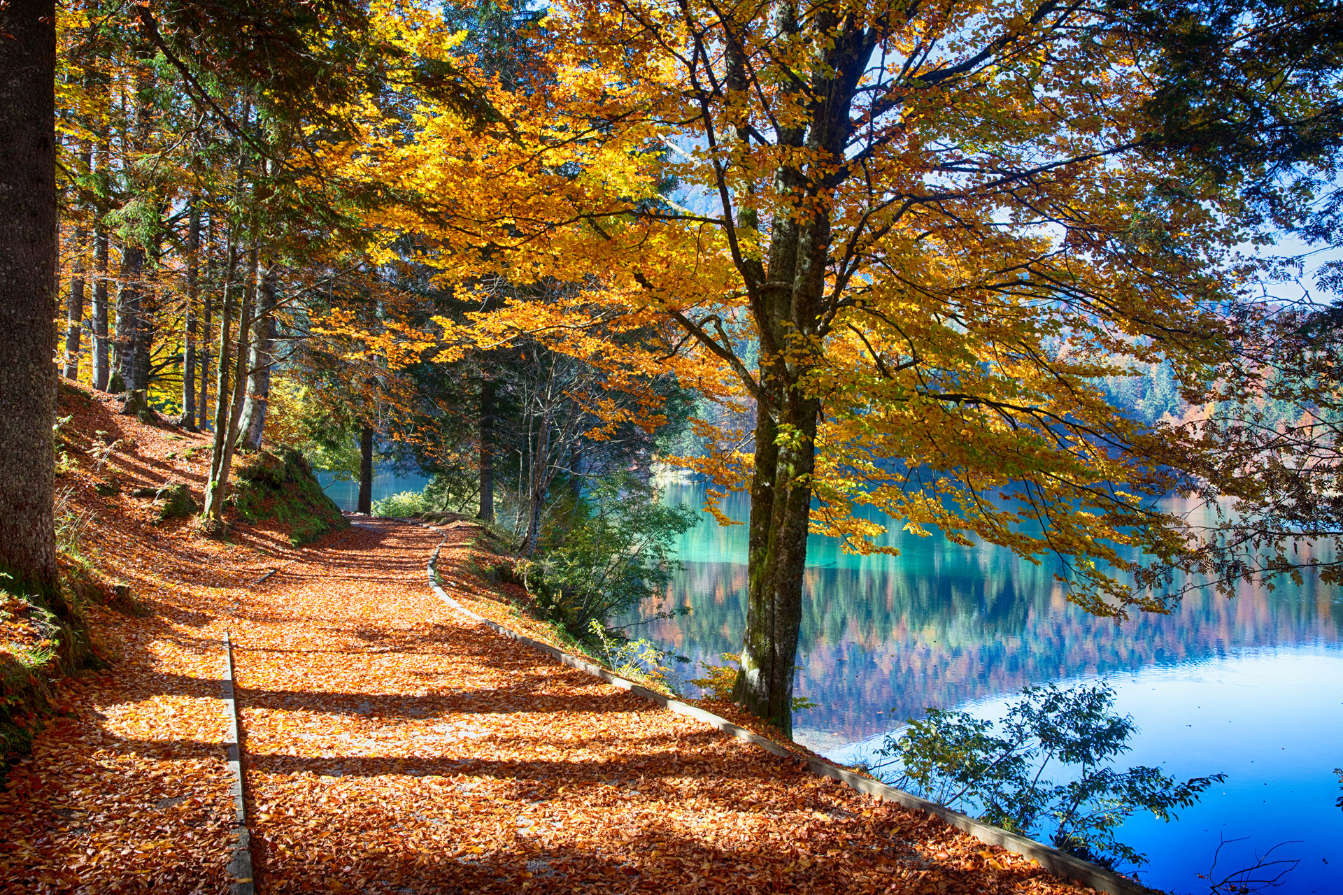La strada lungo il lago