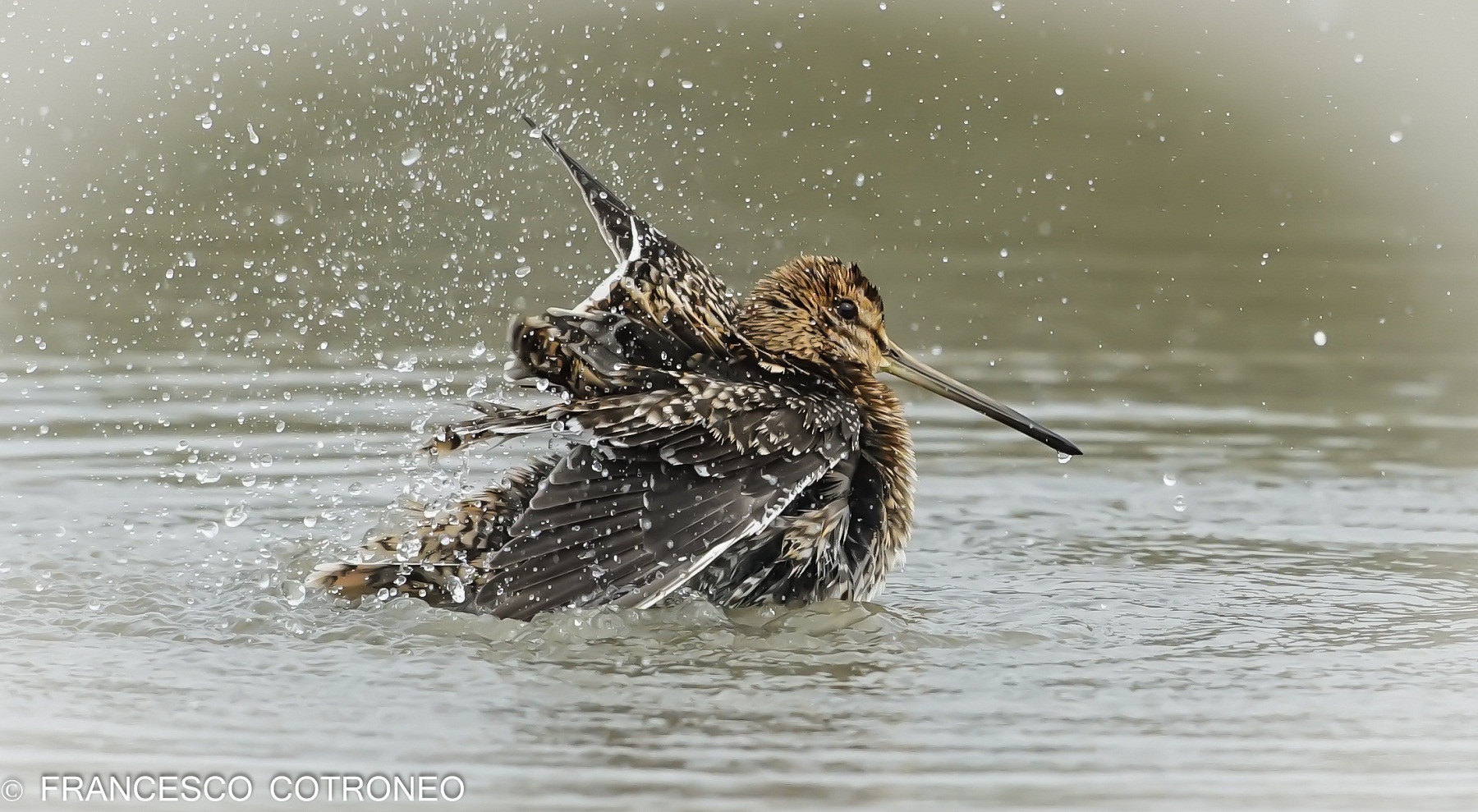Ma proprio ora mi devi fotografare? un pò di privacy....