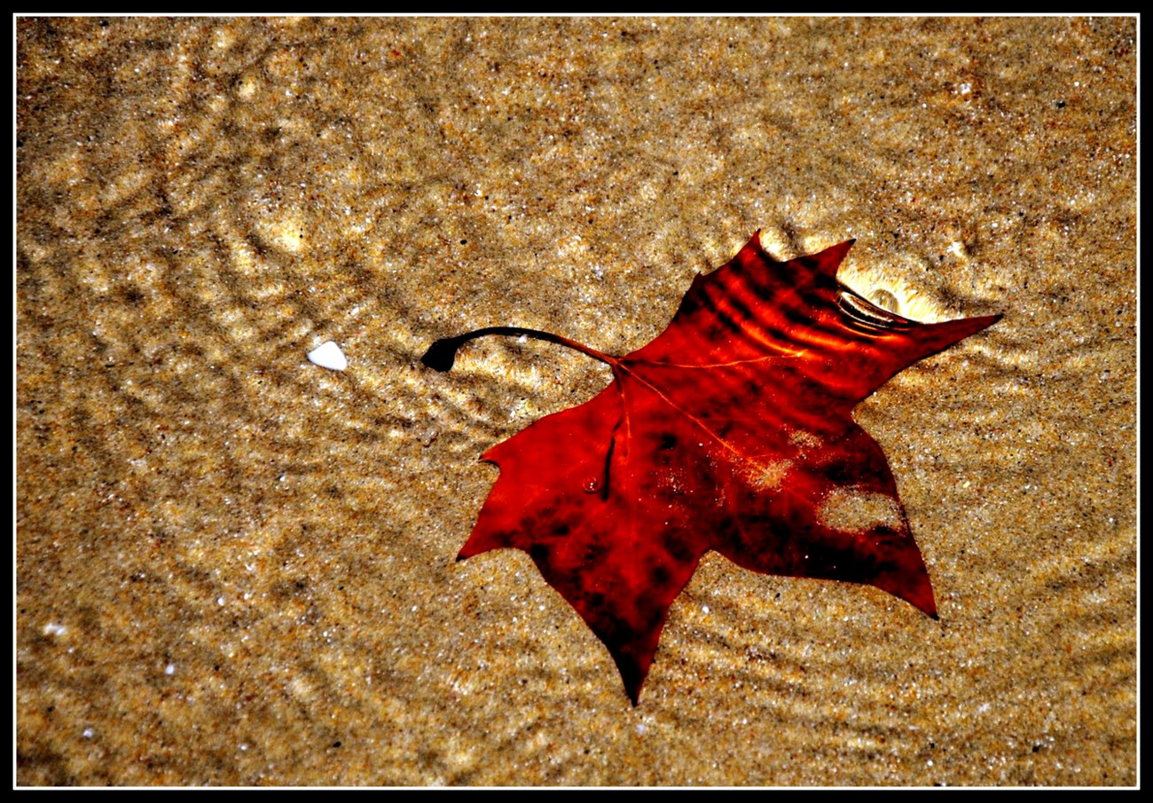 Aspettando l'autunno in spiaggia...