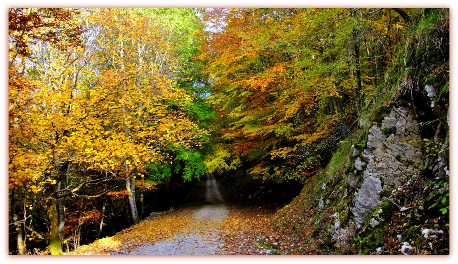 Un'immersione nei colori...