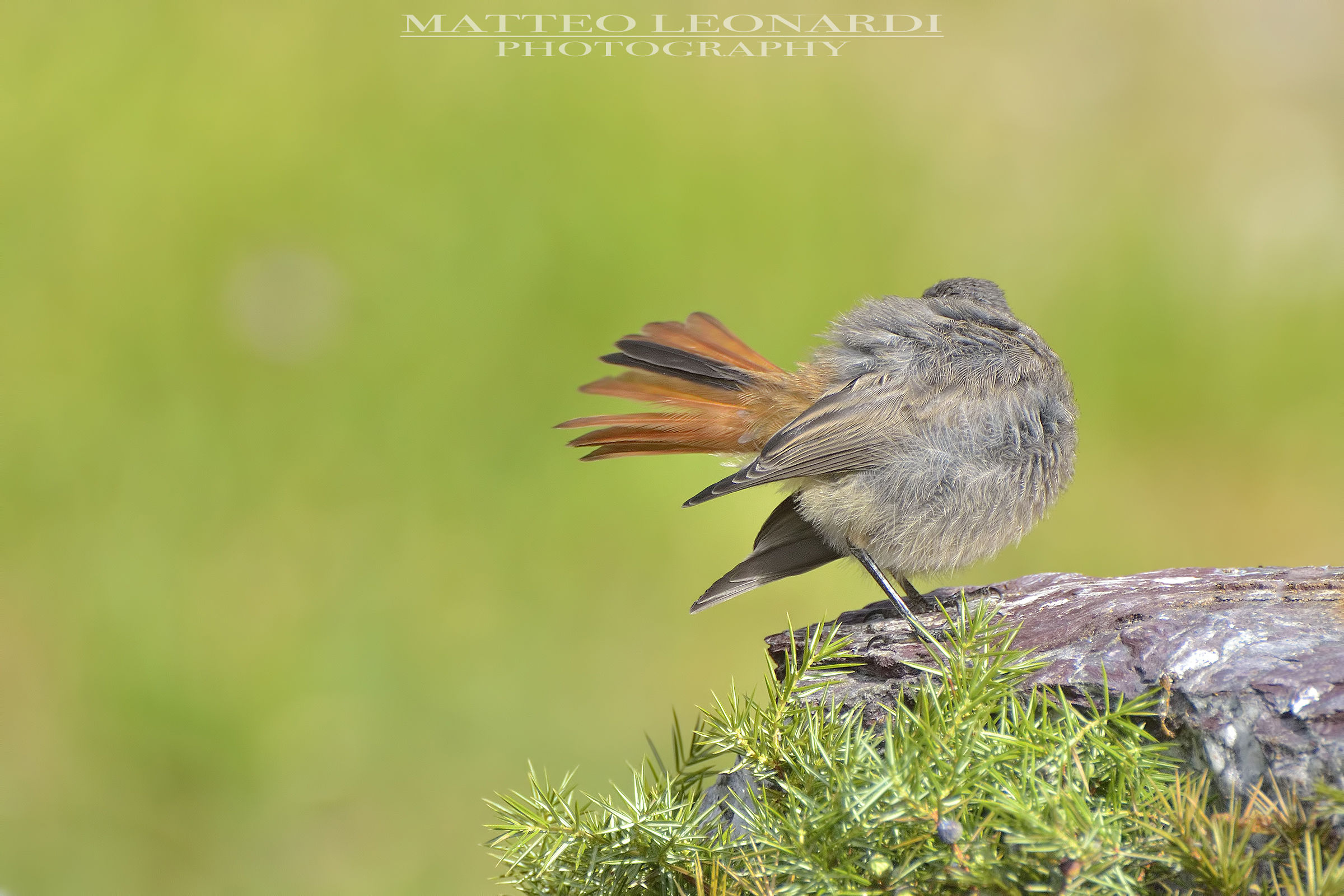 Pulizie mattutine - Spazzacamino Alpi Apuane