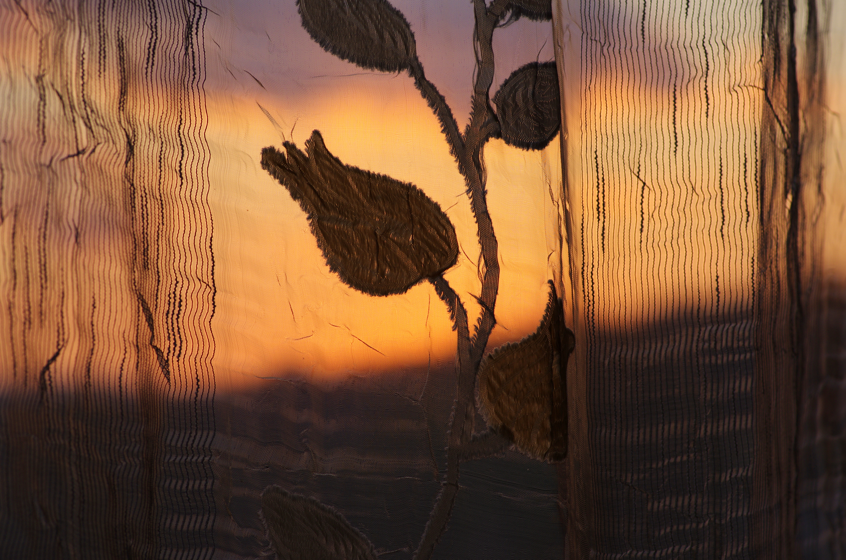 Al Termine Del Giorno...