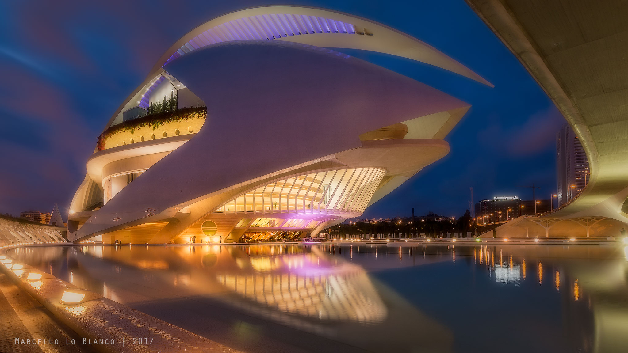 Palau de les artes "Reina Sofia"