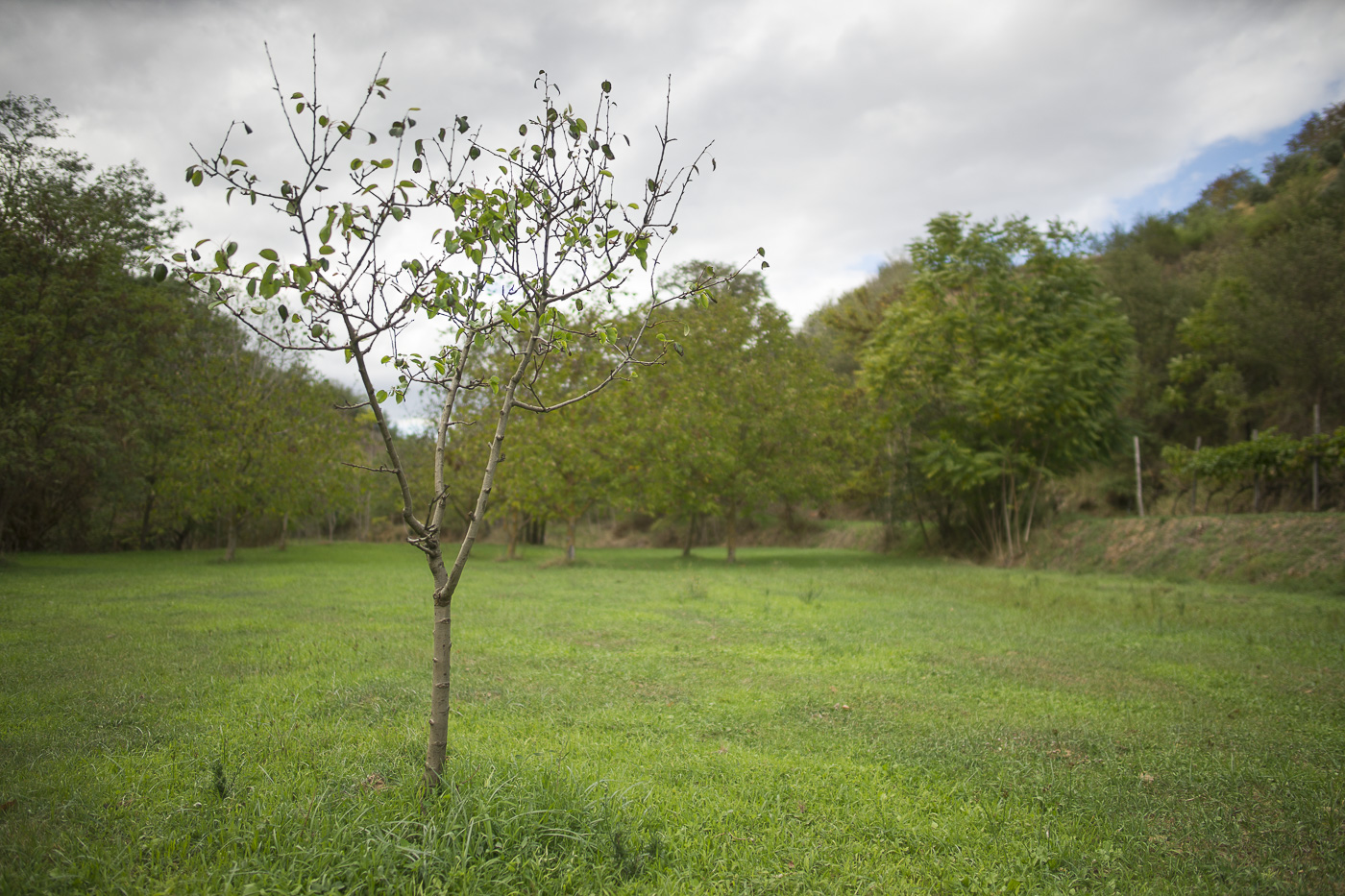 Challenging the seasons