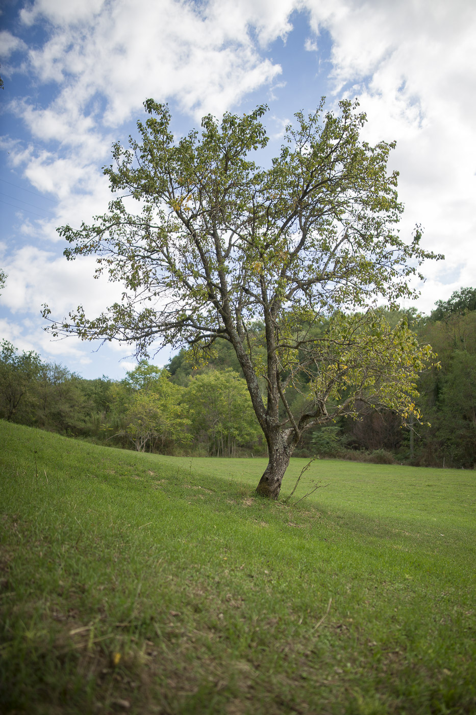 The direction of light