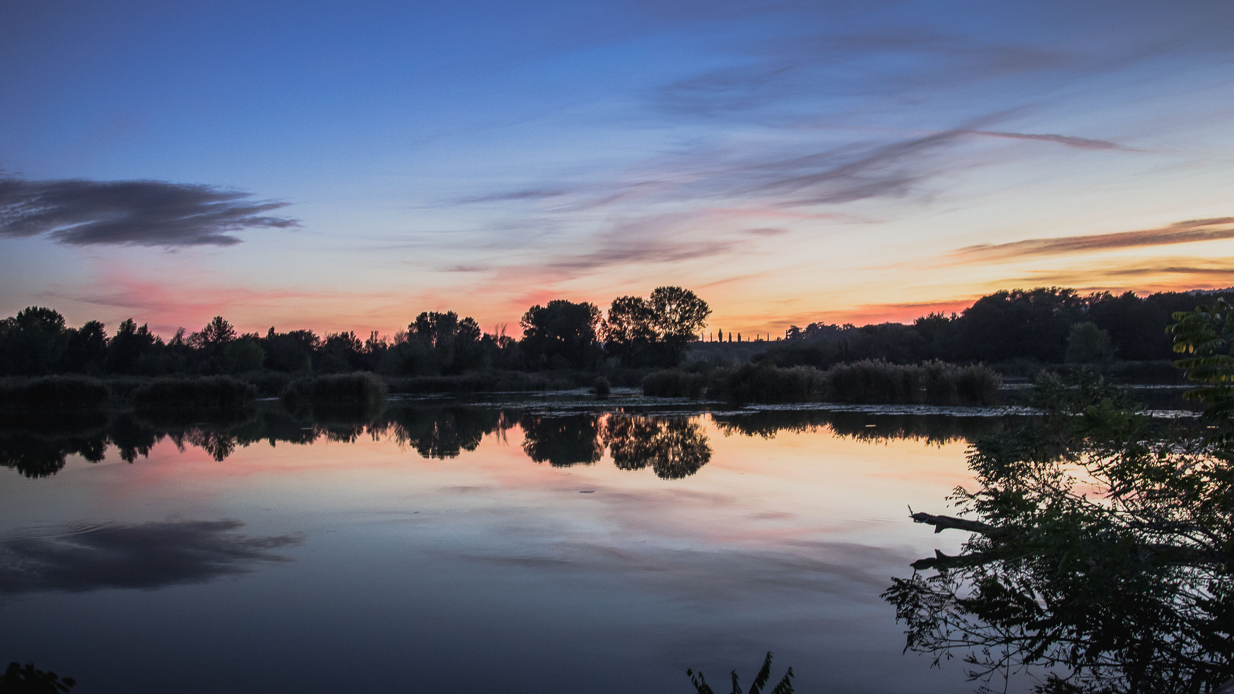 Tortoises of the Sebino